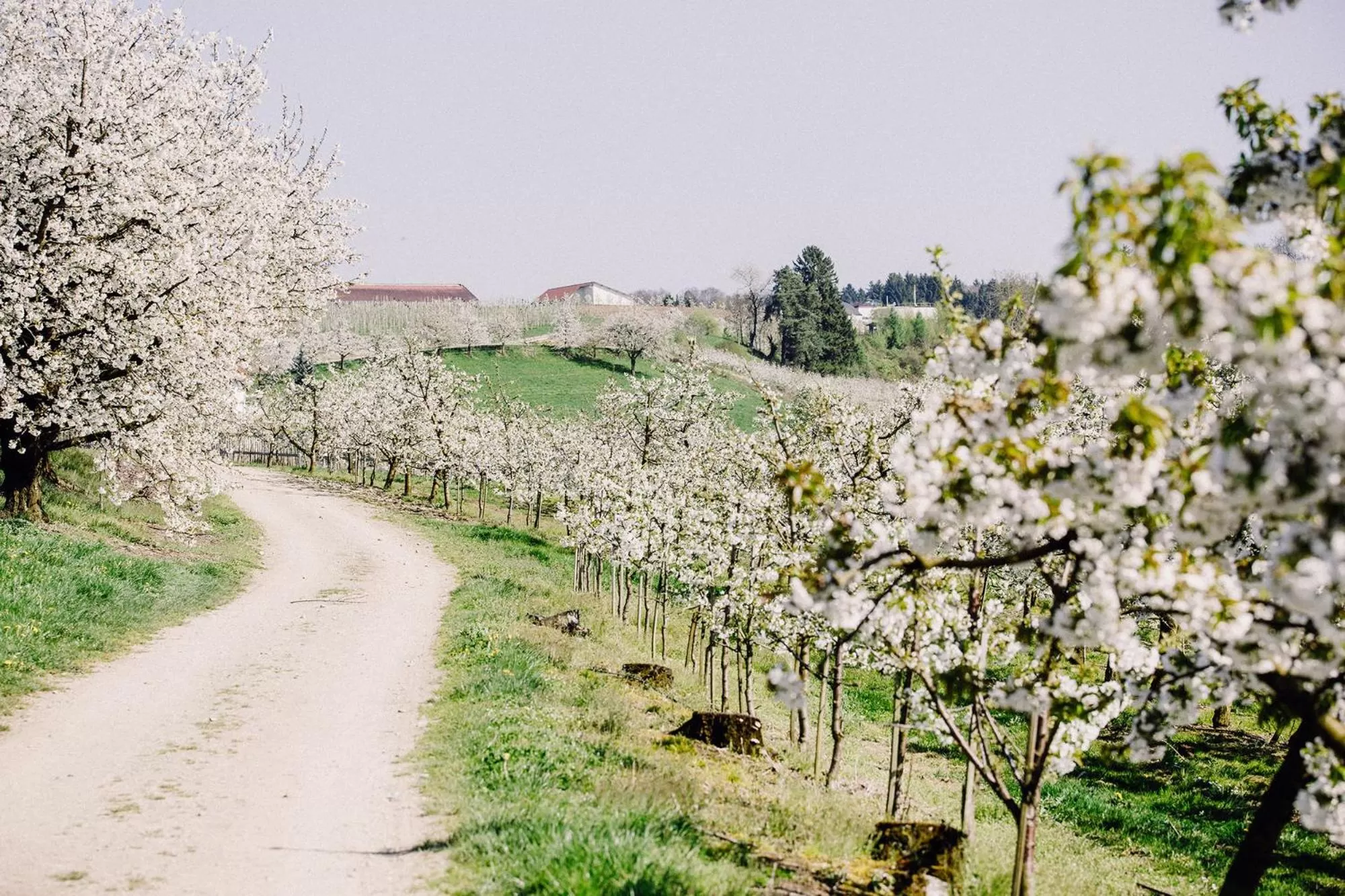 Natural landscape in Gut Hügle Erlebnishof & Spa