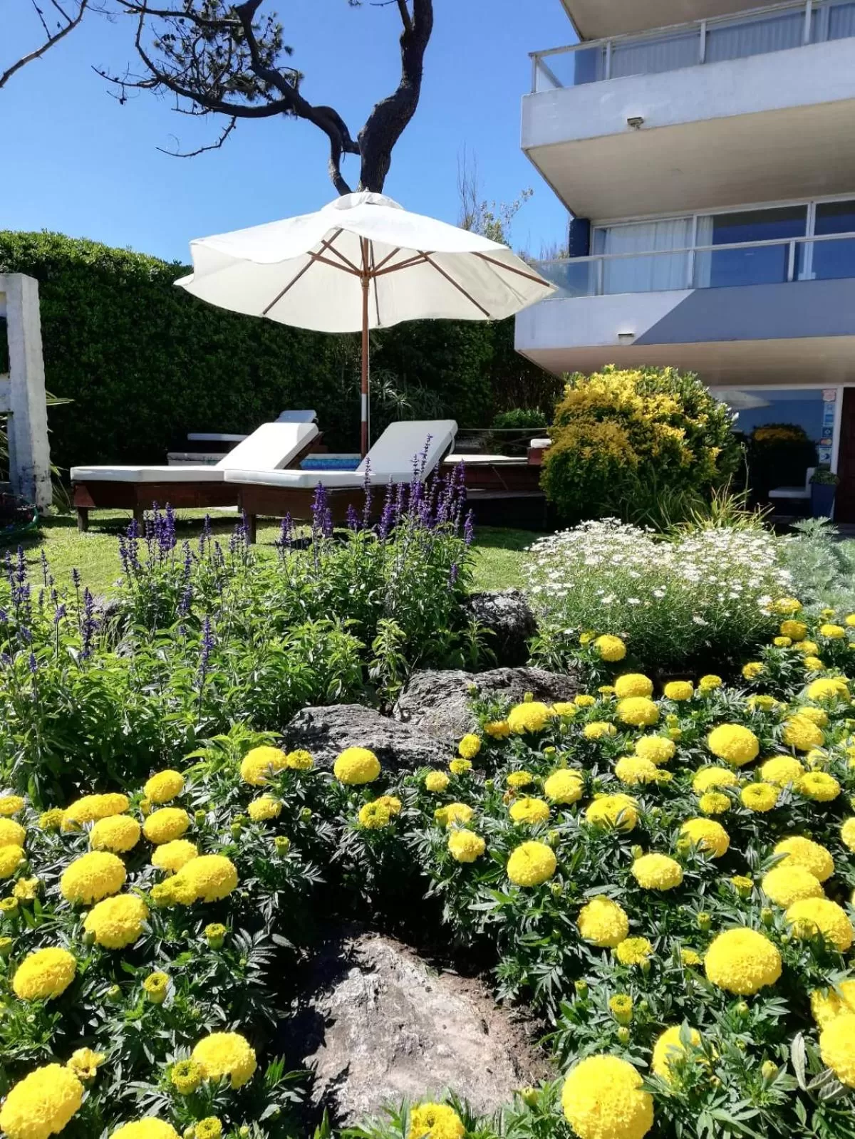 Garden in BDA Hotel & Spa