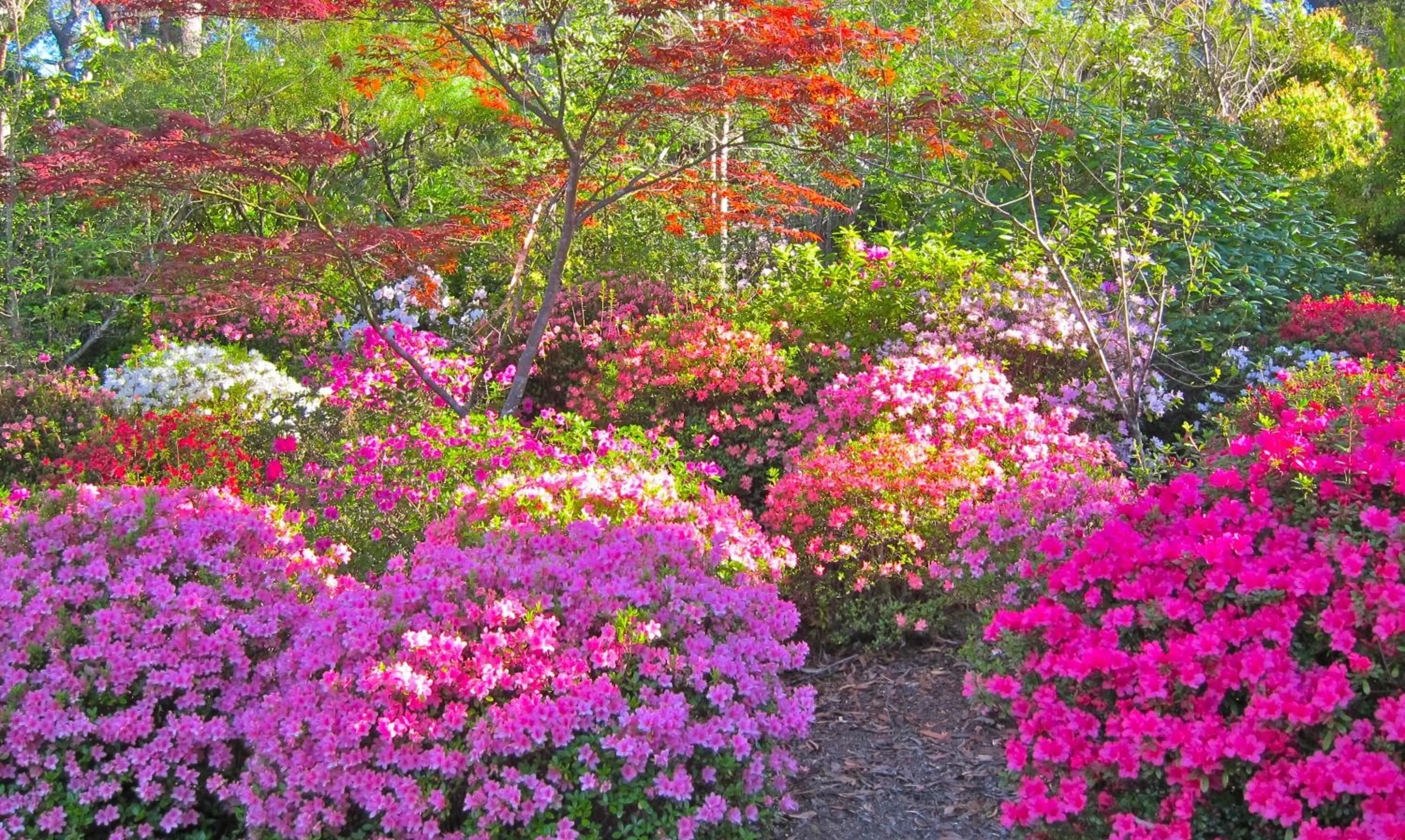 Nearby landmark in High Mountains Motor Inn