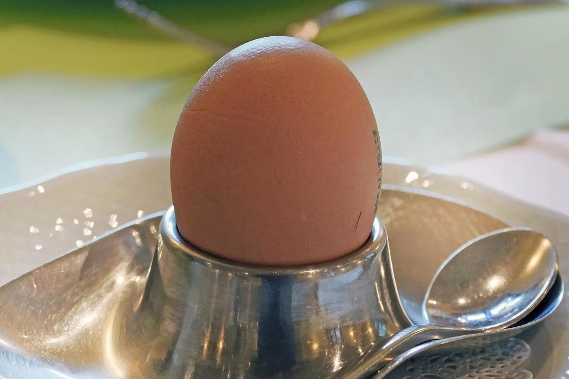 Food and drinks in Ristorante Charme Hotel Tre Terre