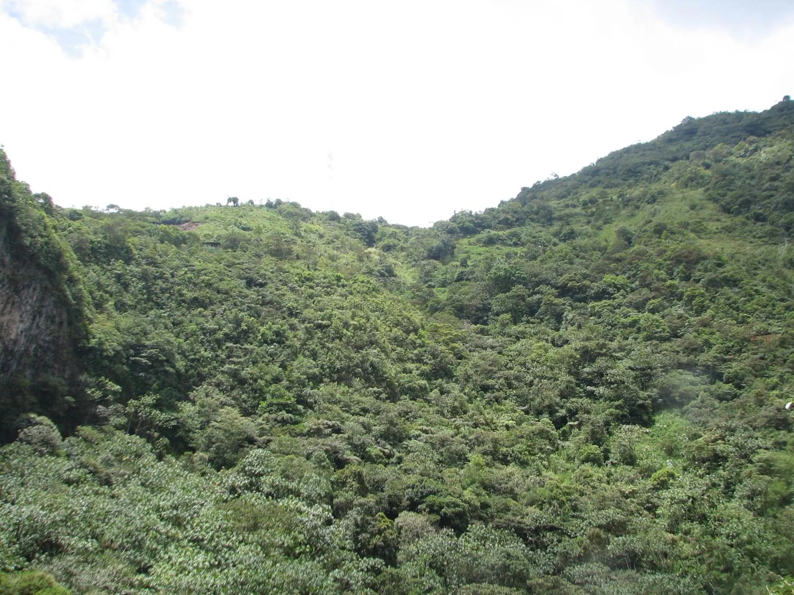 Garden, Natural Landscape in Spa Hosteria Miramelindo