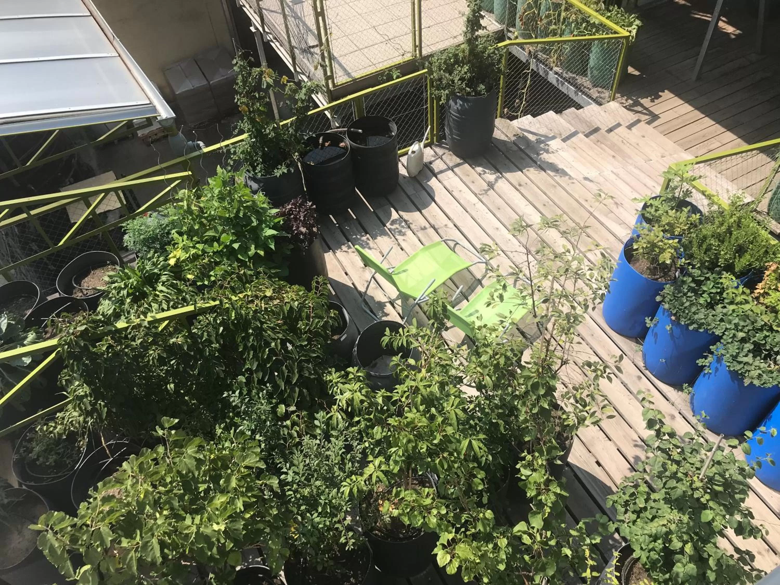 Patio in Wiener Gäste Zimmer