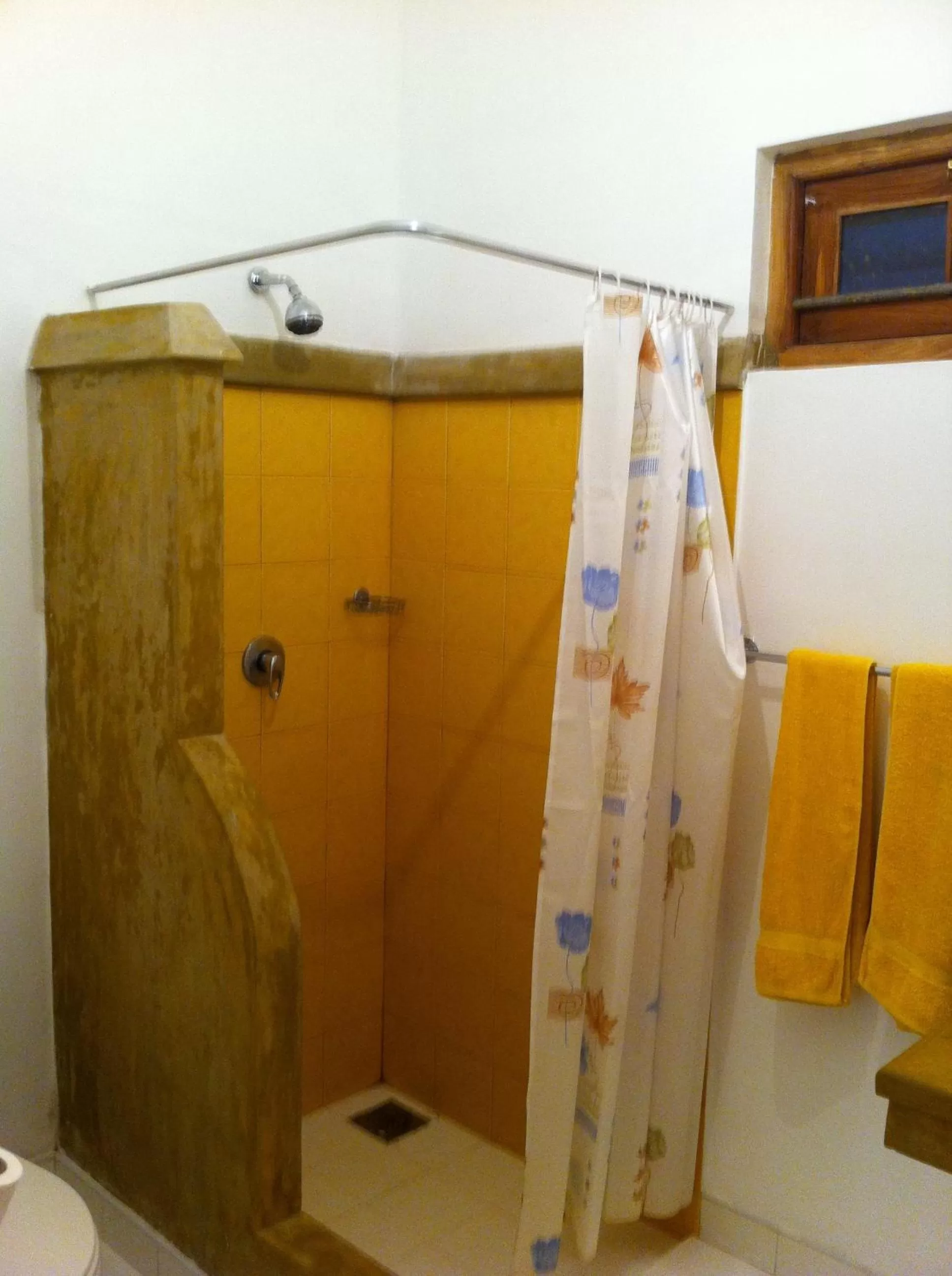 Shower, Bathroom in Little Paradise Tourist Guest House and Holiday Home