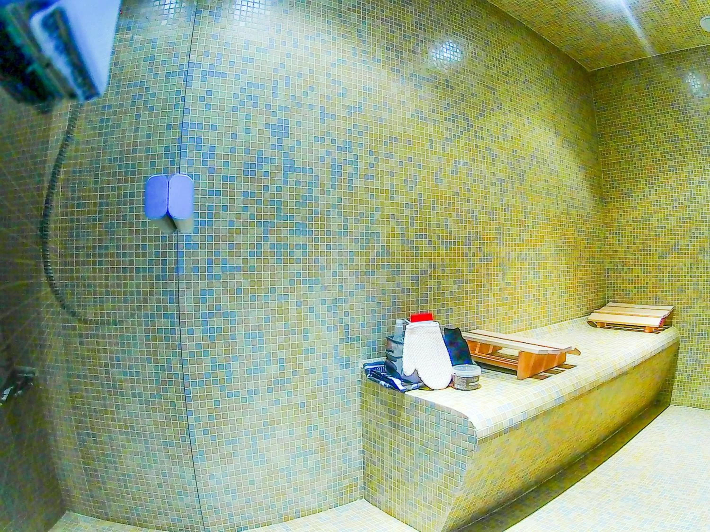 Shower in Chez Martine et Philippe en Velay