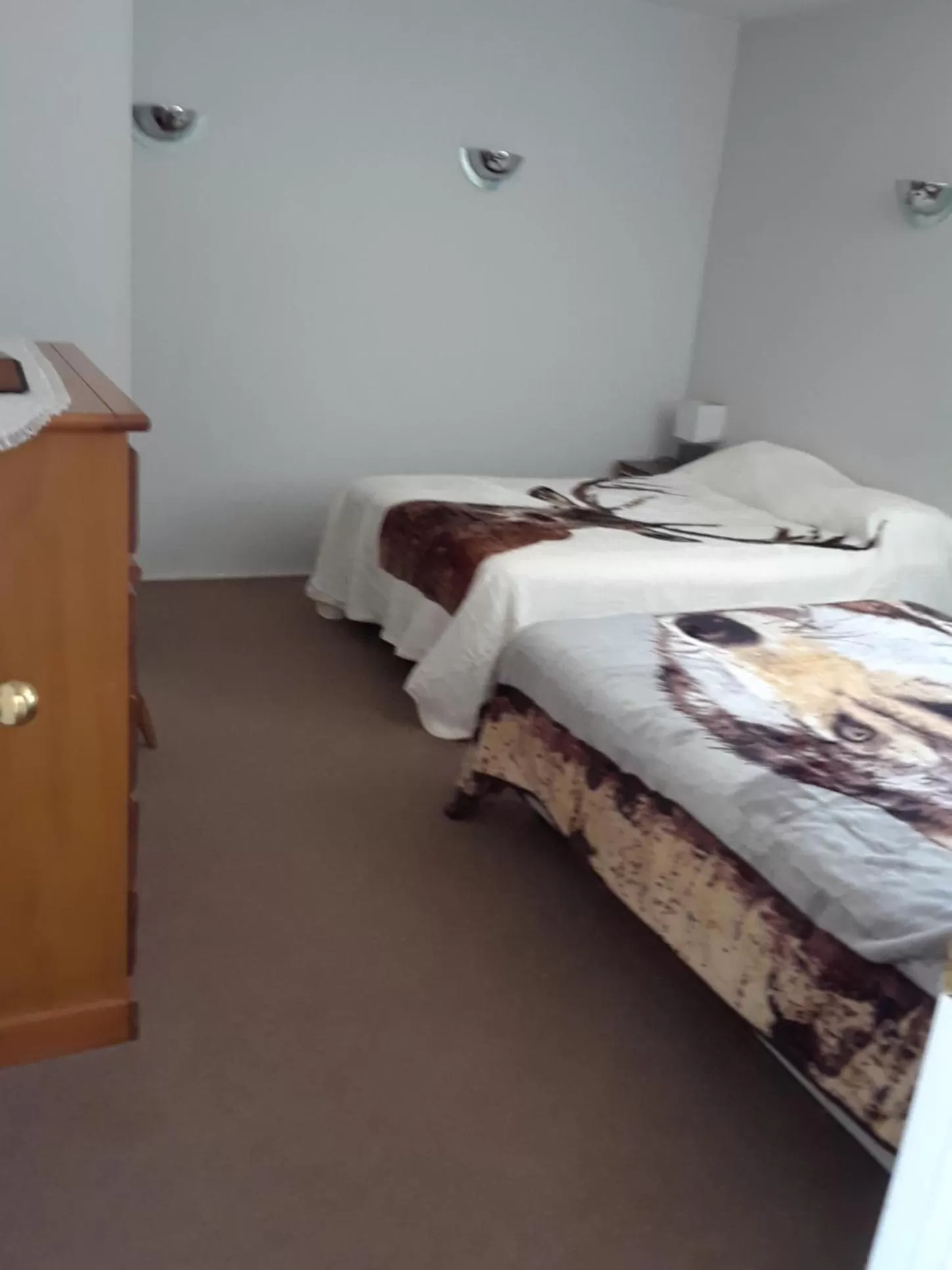 Bed in Mountain View Motel