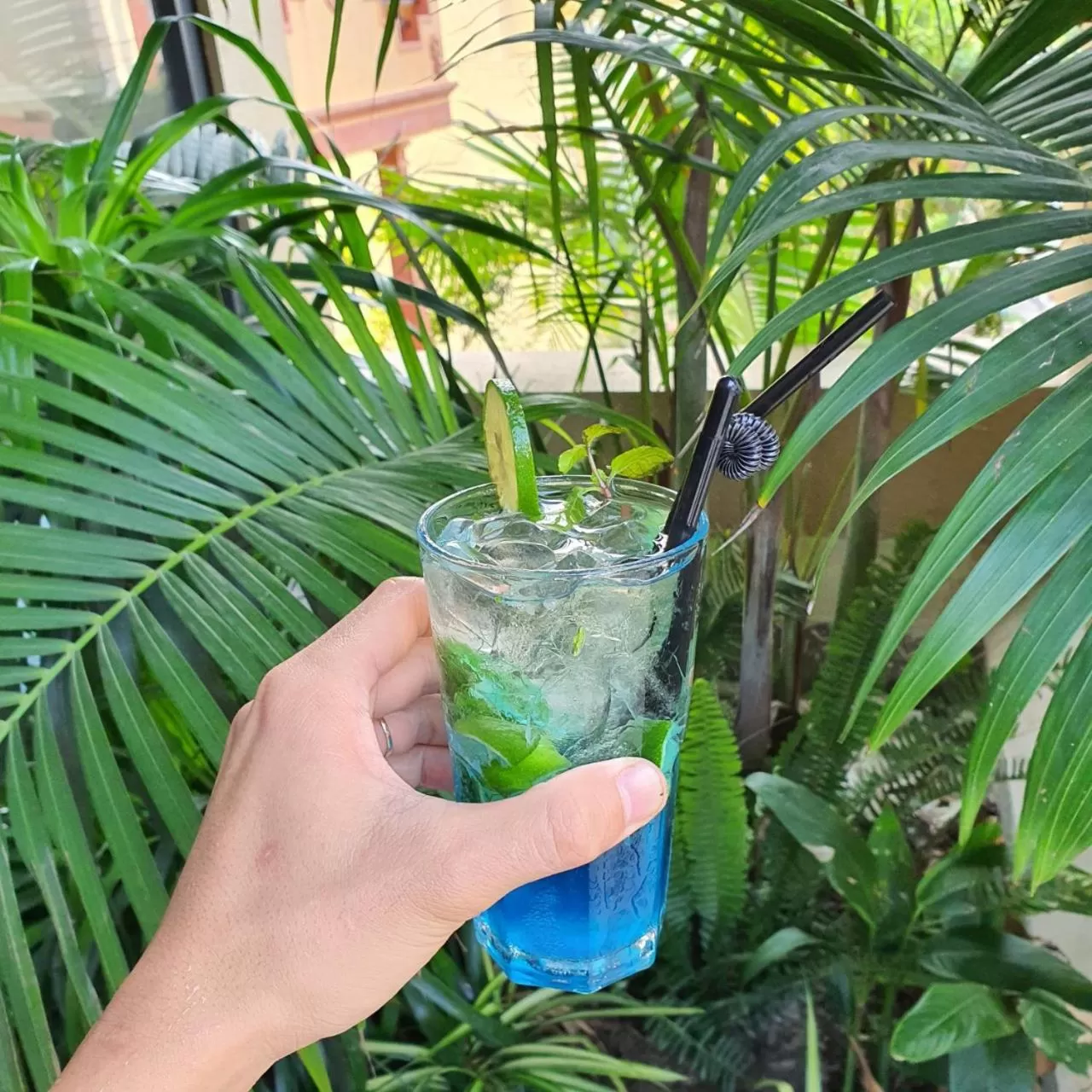 Lounge or bar, Other Animals in Cagina Boutique Hostel