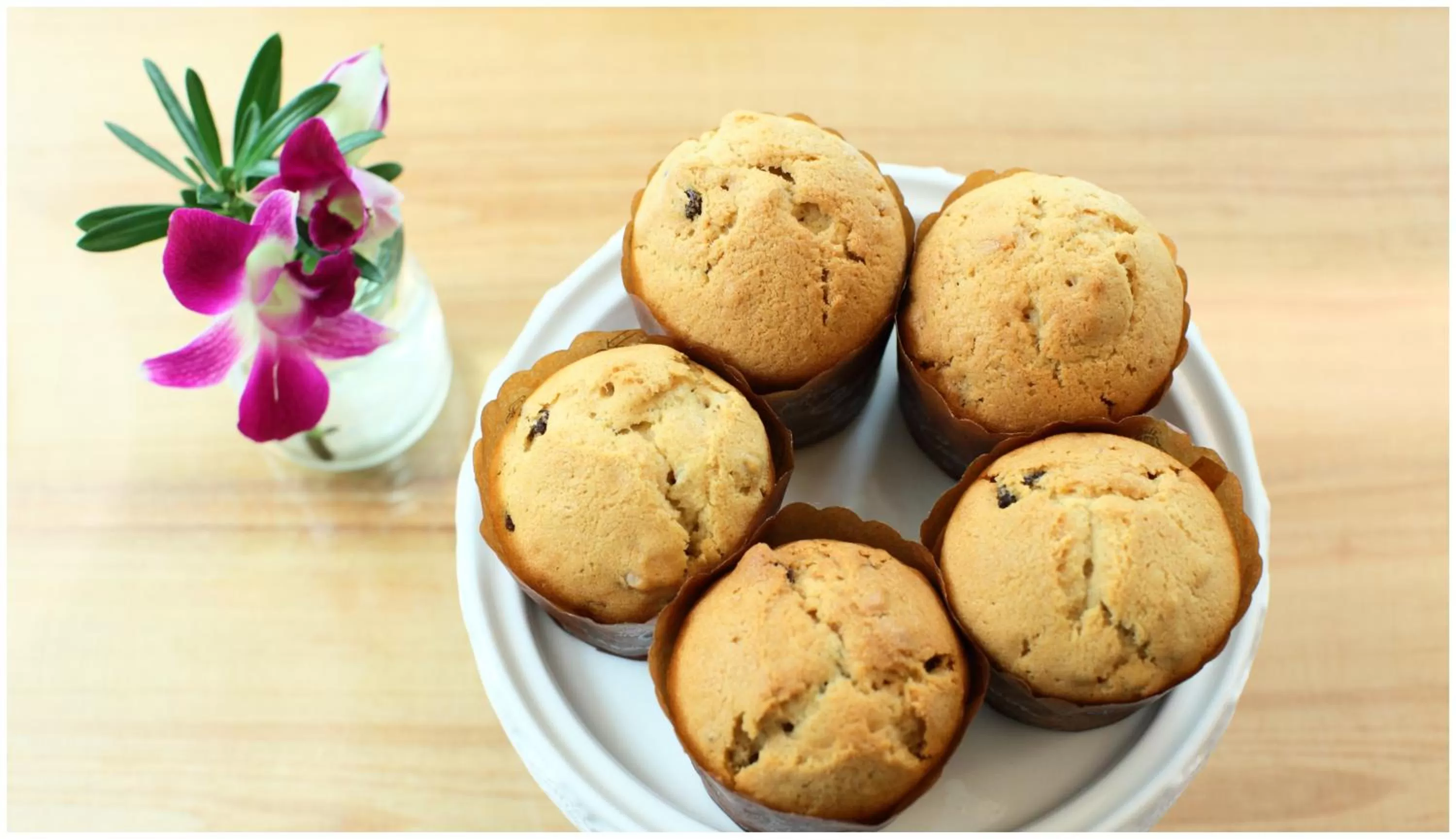 Food and drinks in Errantry Lodge & Studio