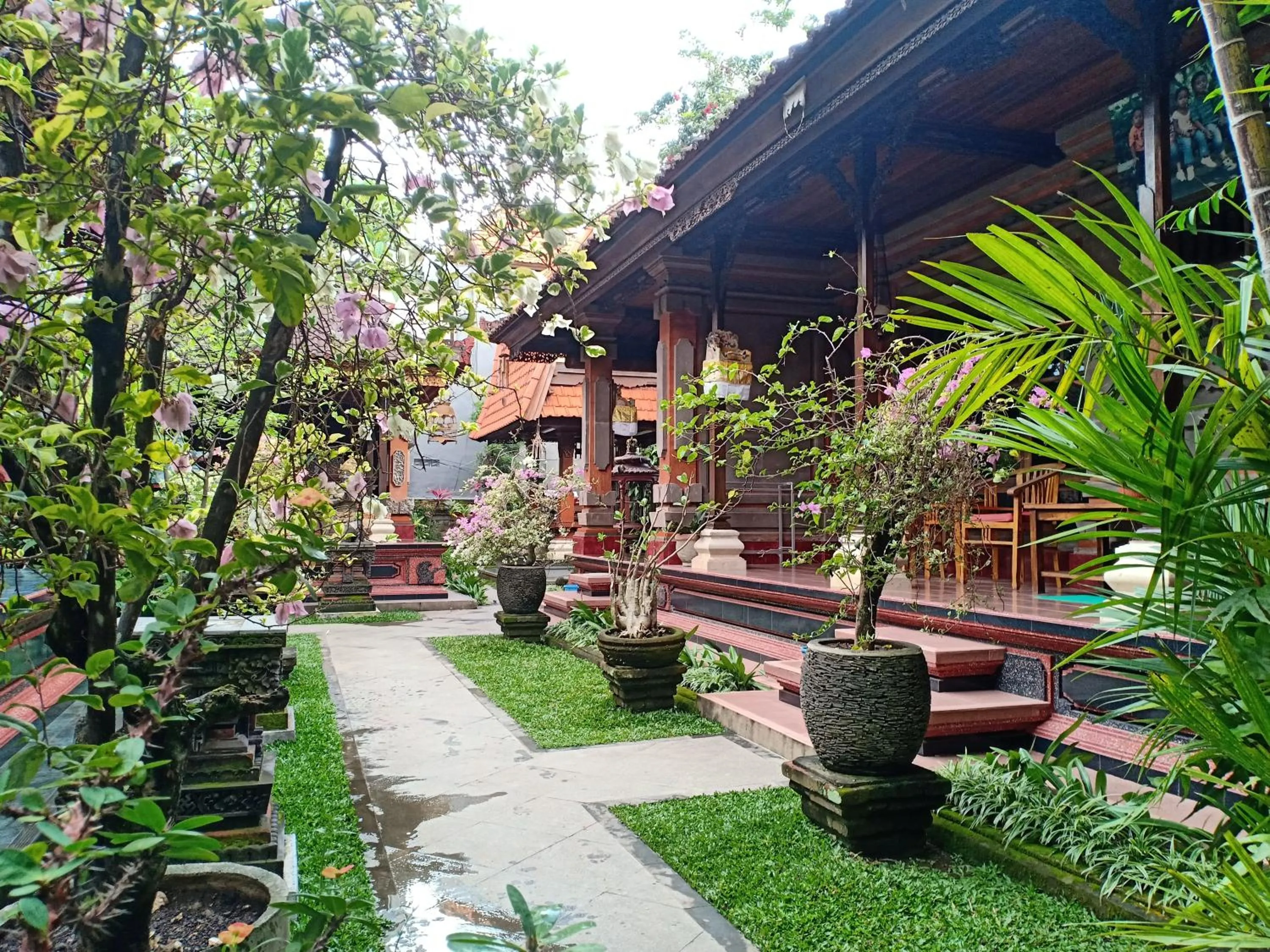 Garden in Nick's Homestay