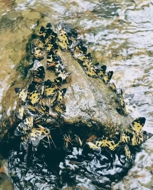 Casa Turística Realismo Mágico