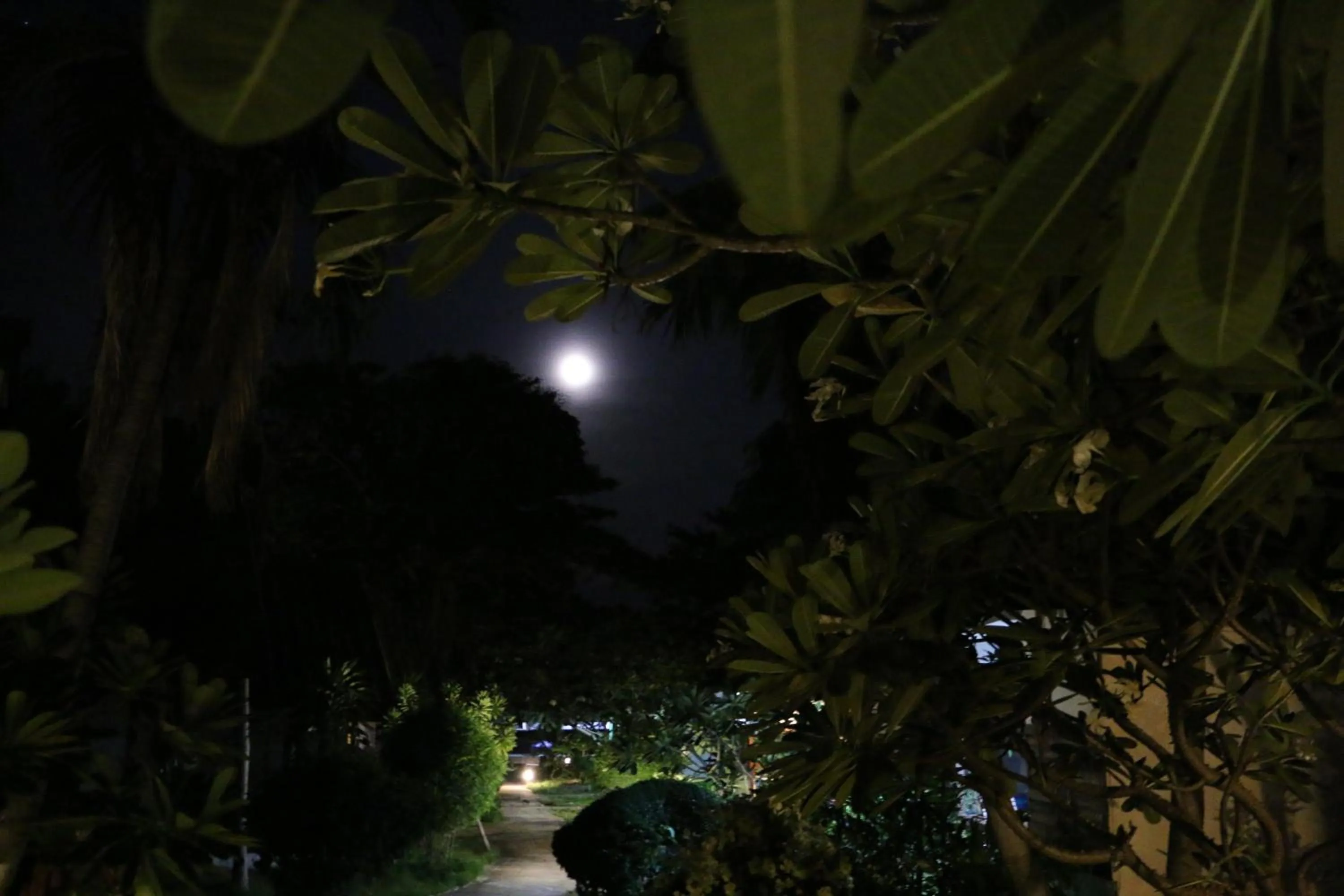 Marine Chaweng Beach Resort