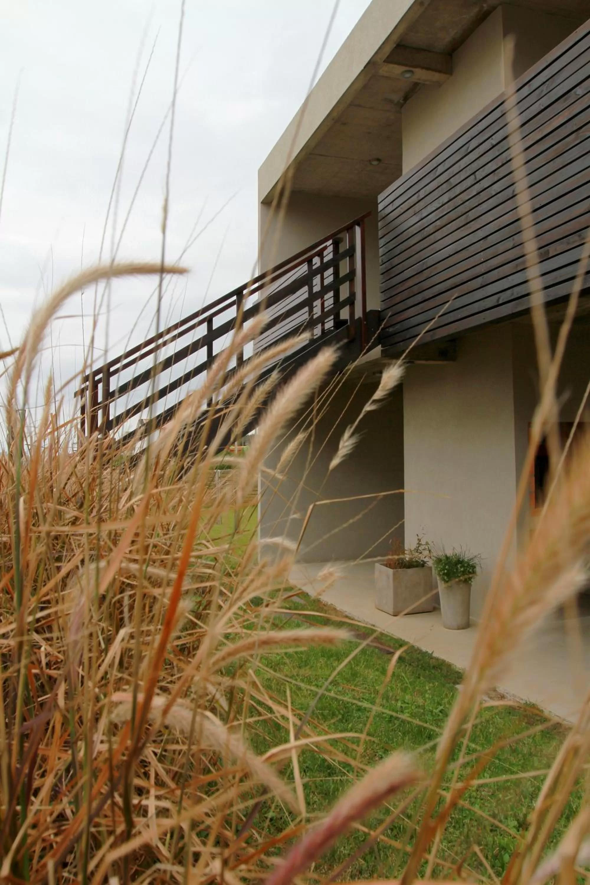 Decorative detail in Cara Colomba