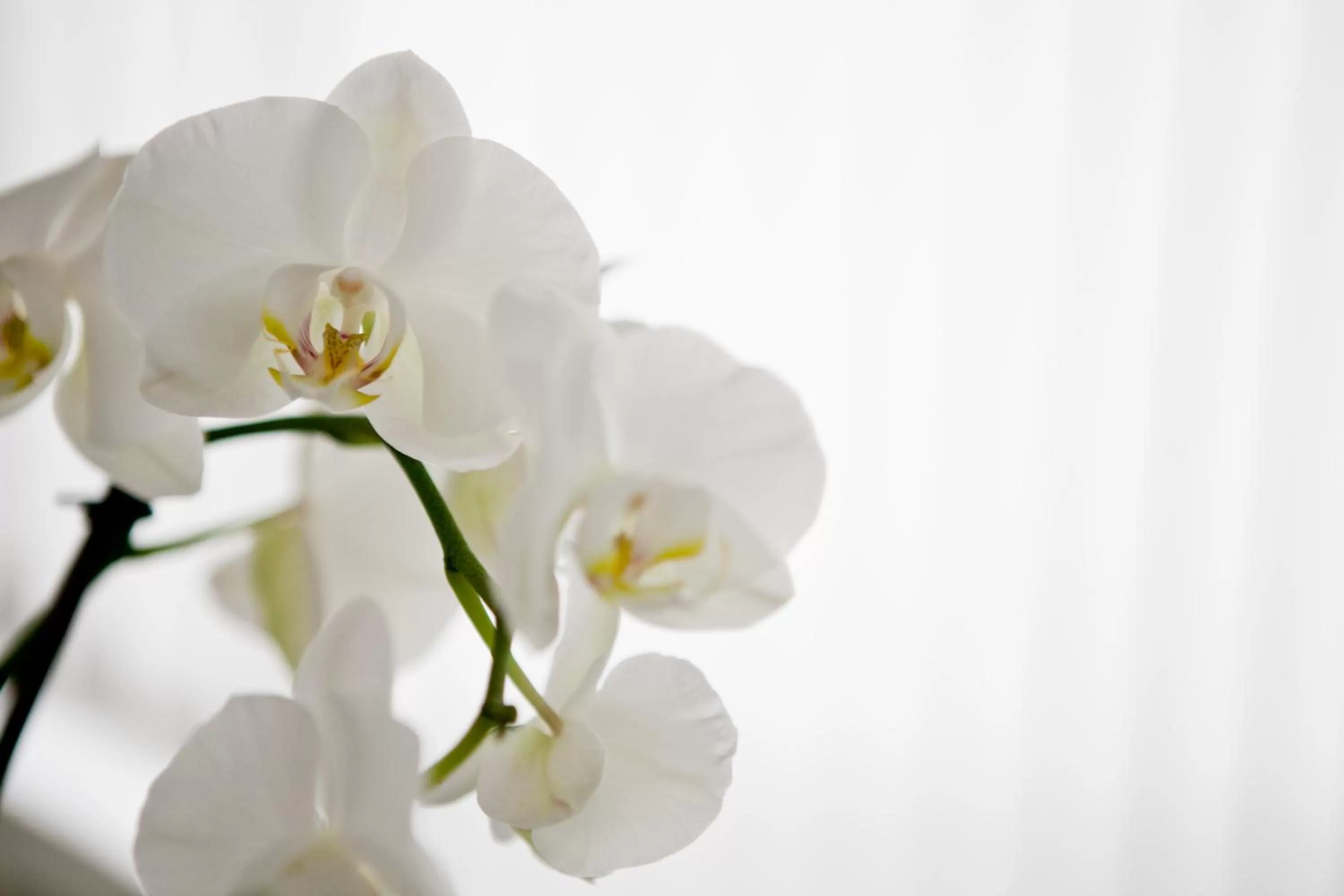 Other, Drinks in Hotel Am Römerwall