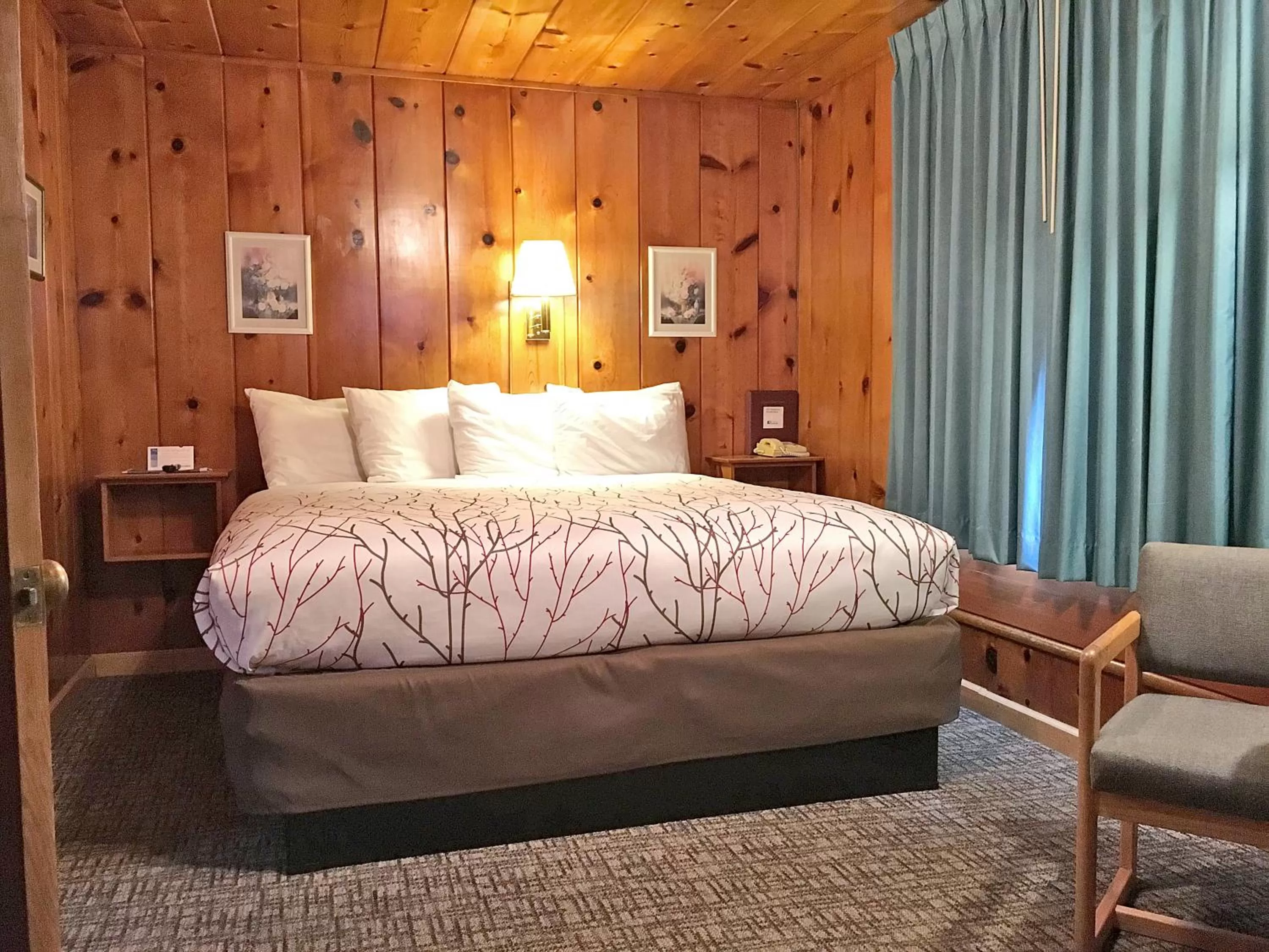 Bed in Park Motel and Cabins