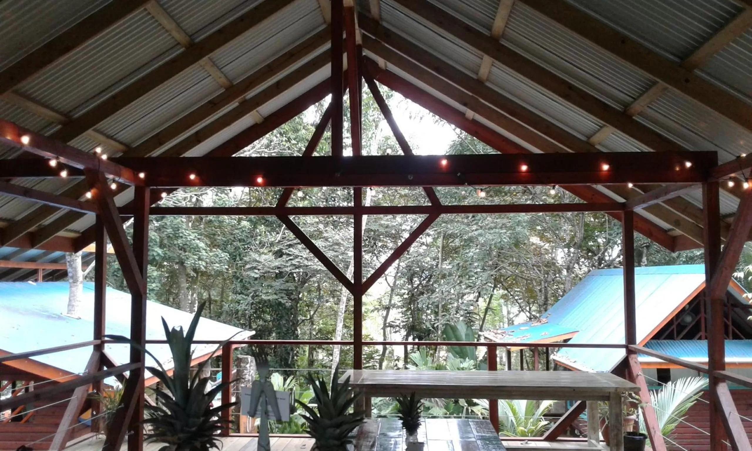 Restaurant/places to eat, Pool View in Surf Break at Paunch