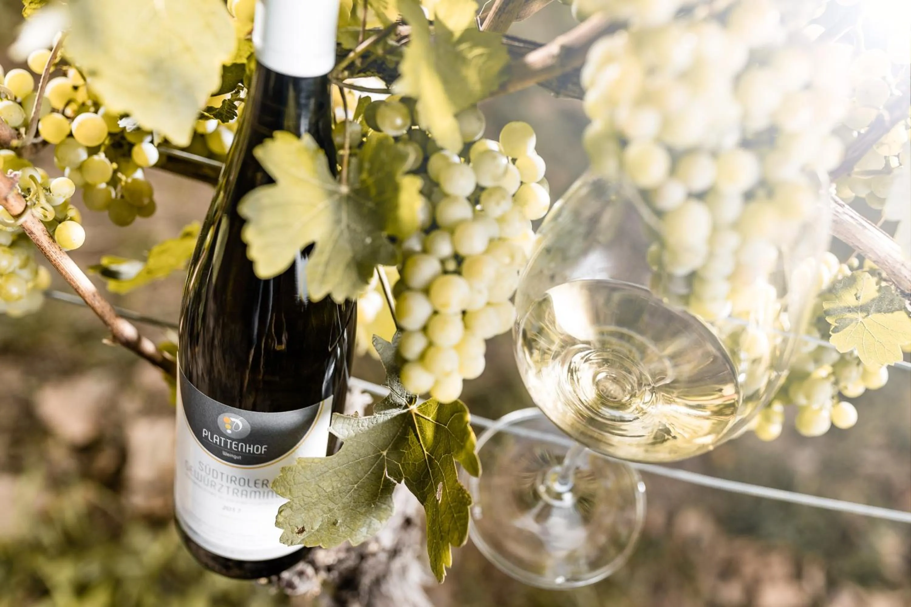 Alcoholic drinks in Hotel Plattenhof