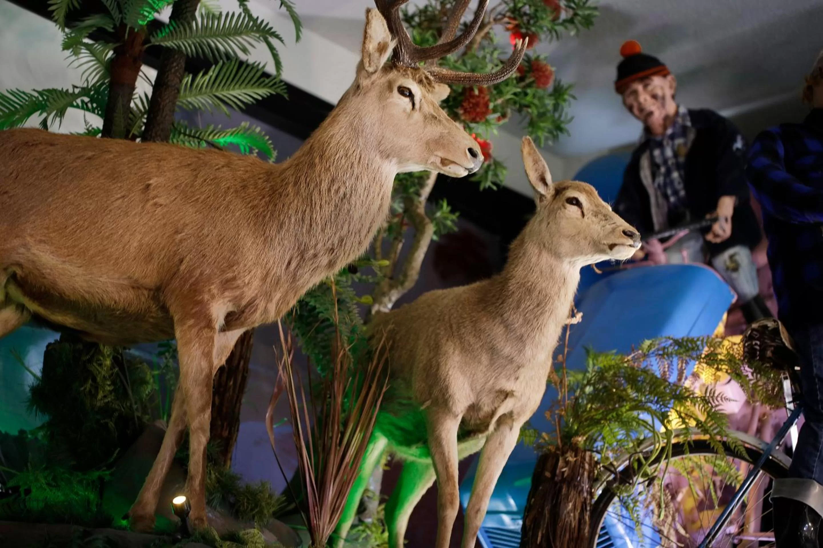 Activities in Pavilions Hotel