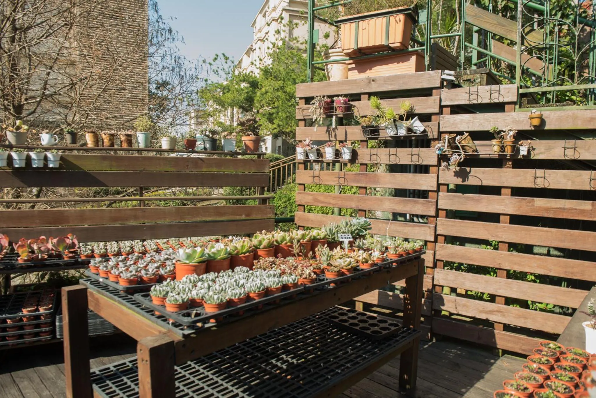 Garden in LIDO FORESTRY SPA RESORT