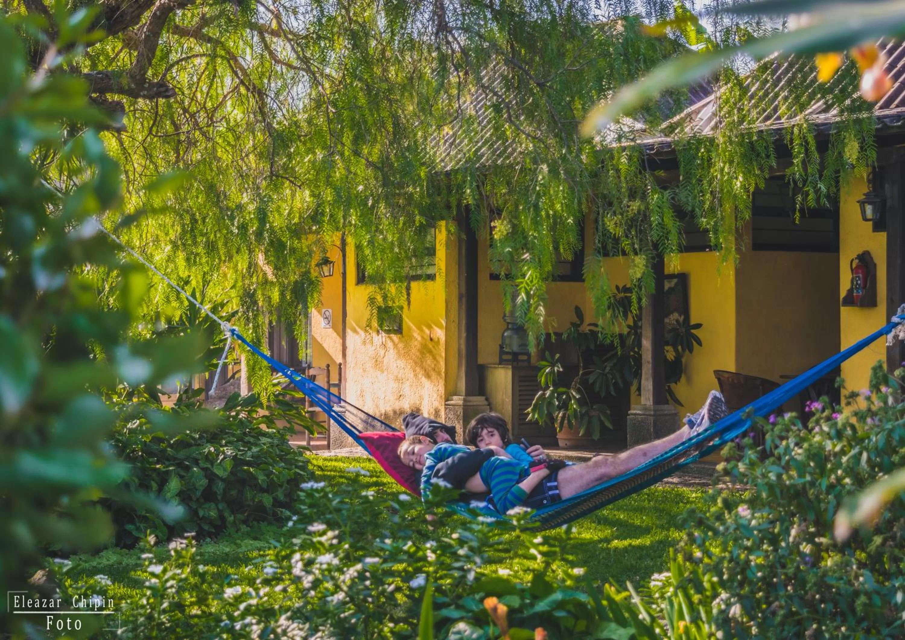 Garden, Guests in Hotel Toliman