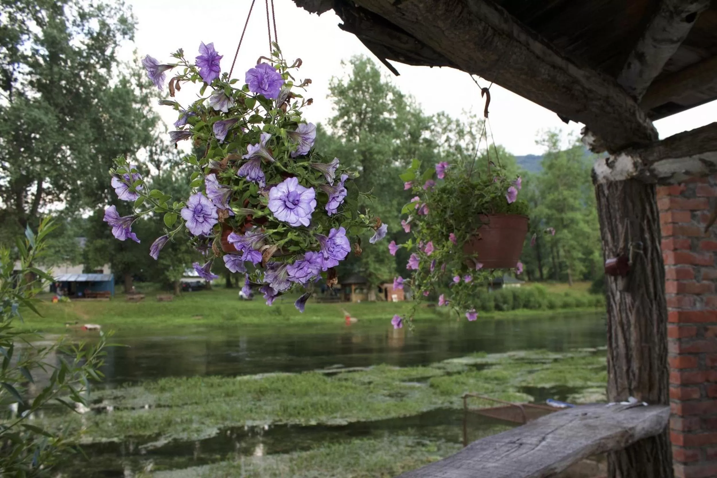 Garden in Bed and Breakfast Family Djukic