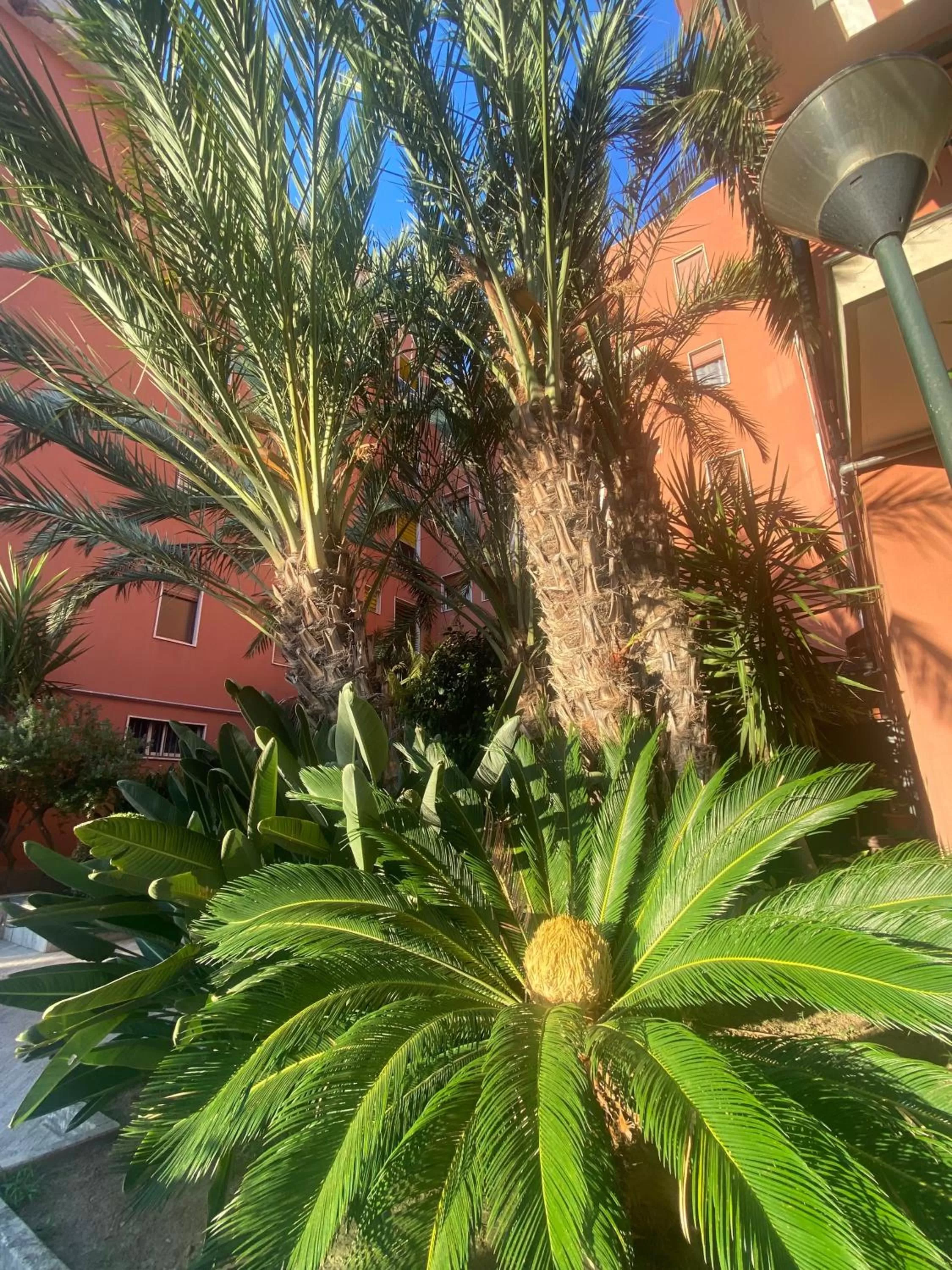 Property building, Garden in Sorrento B&D Rooms