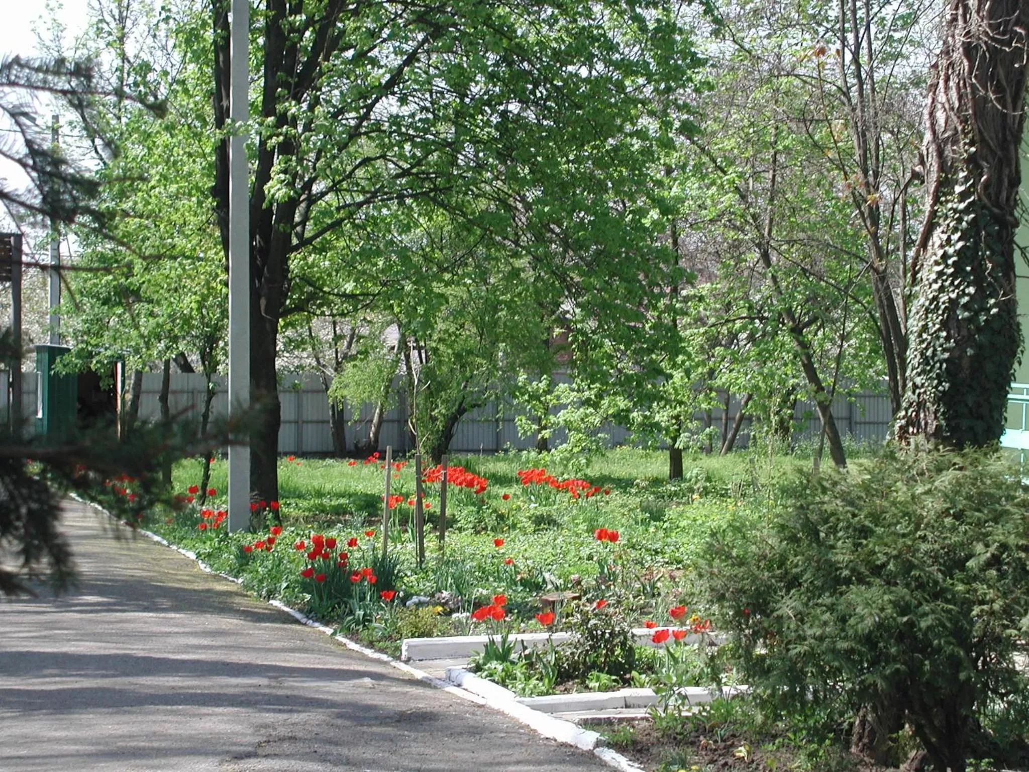 Spring in Zelenyi Kampus