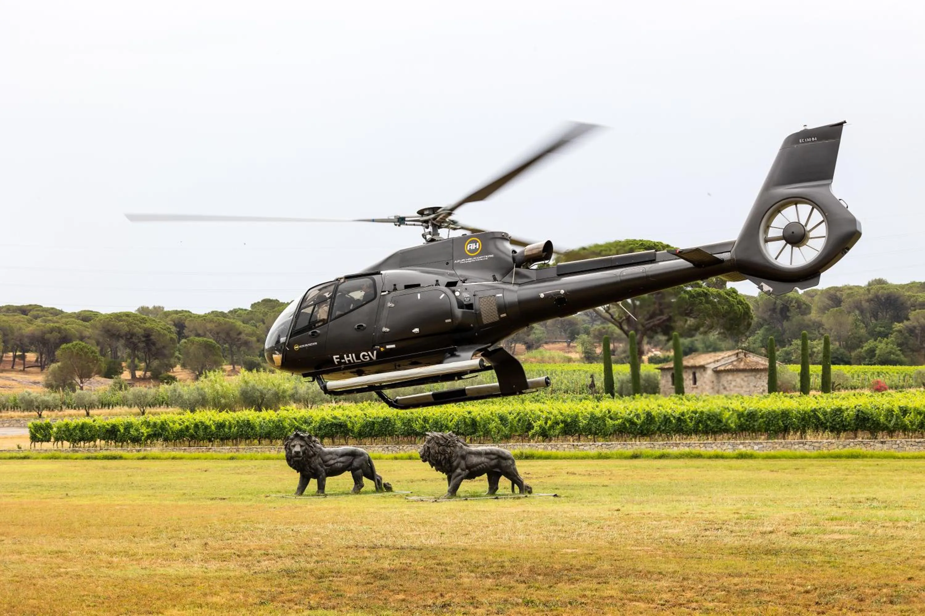 Natural landscape in La Bastide Du Clos des Roses - Teritoria