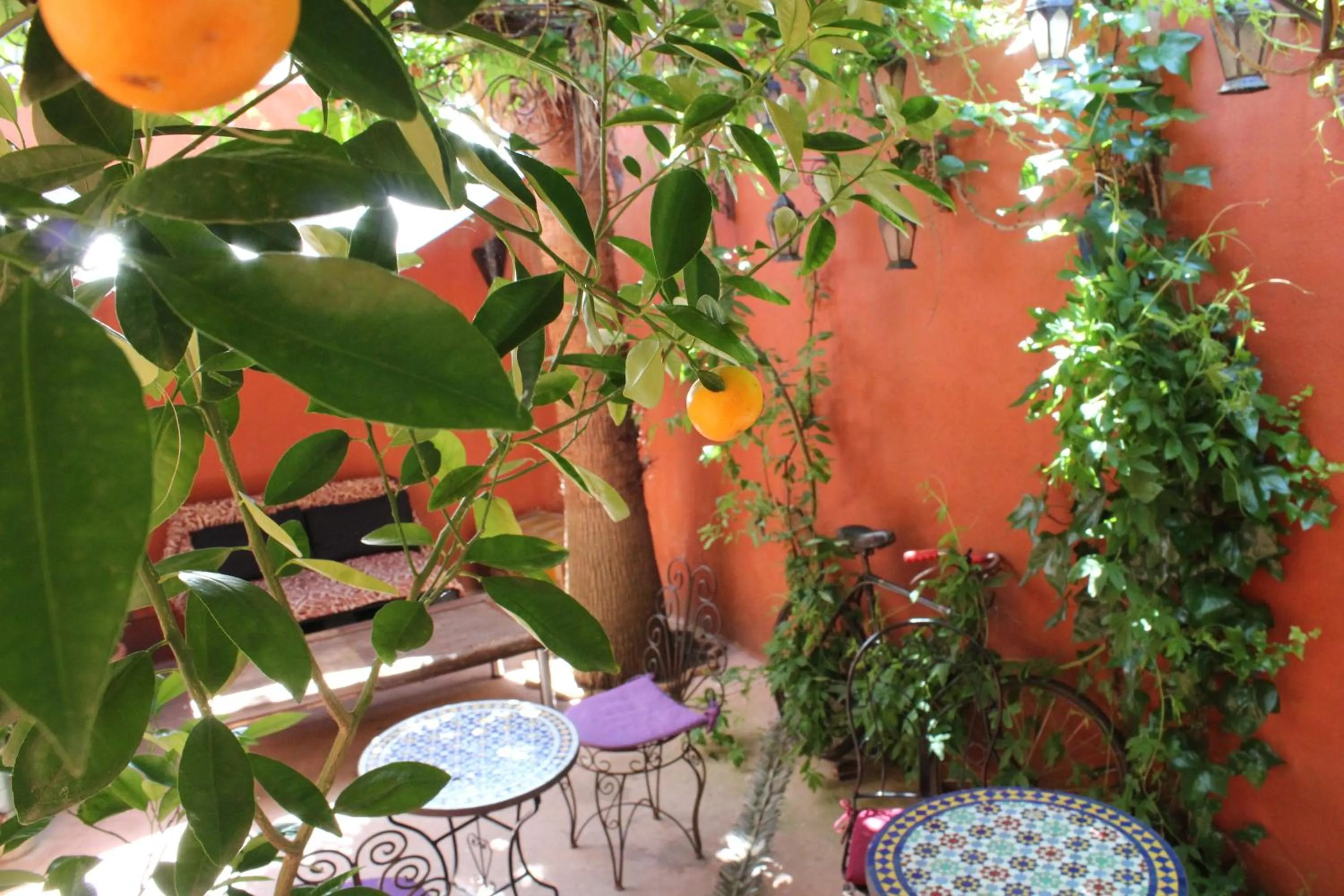 Balcony/Terrace in Hotel la Boheme