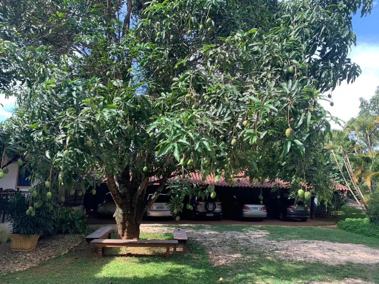 Garden view, Garden in Pousada Villa Real
