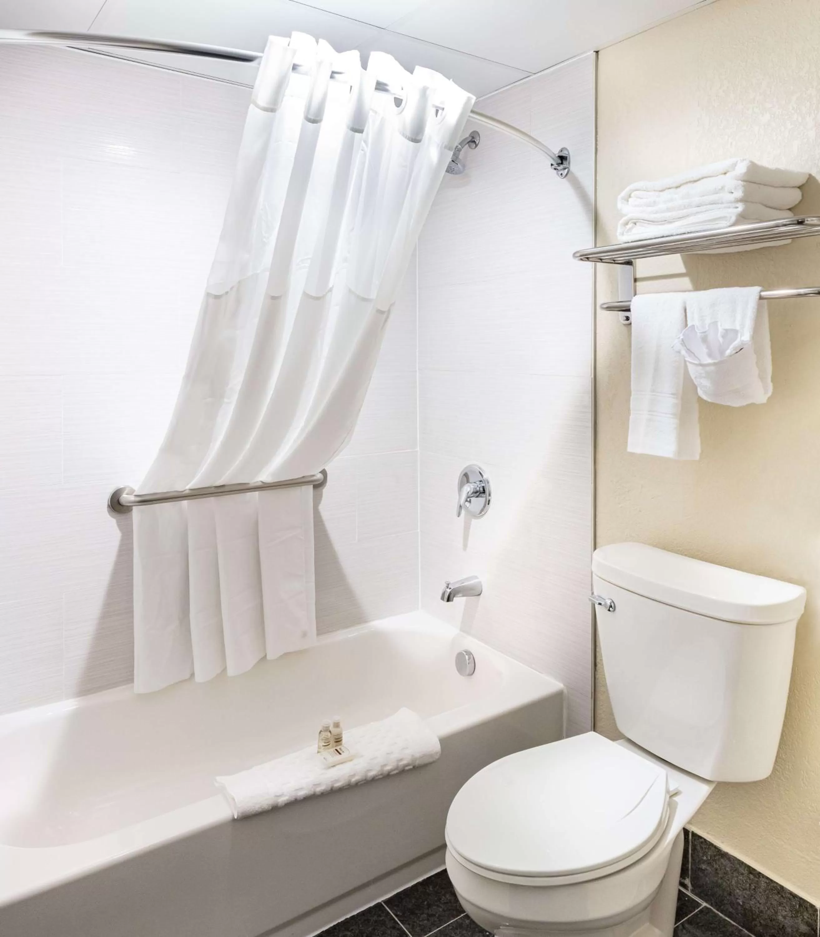 KING-PREMIUM EXTENDED STAY-SOFABED-NON SMOKING in Radisson Hotel Southfield-Detroit