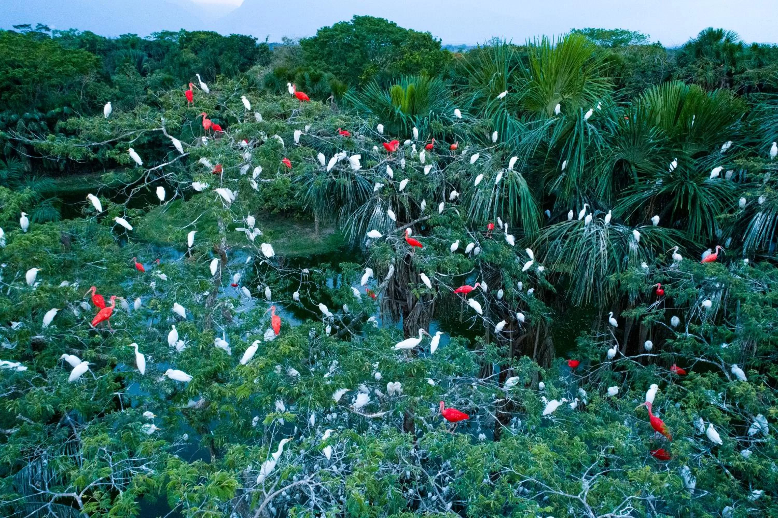 Ecolodge Cosmogénesis