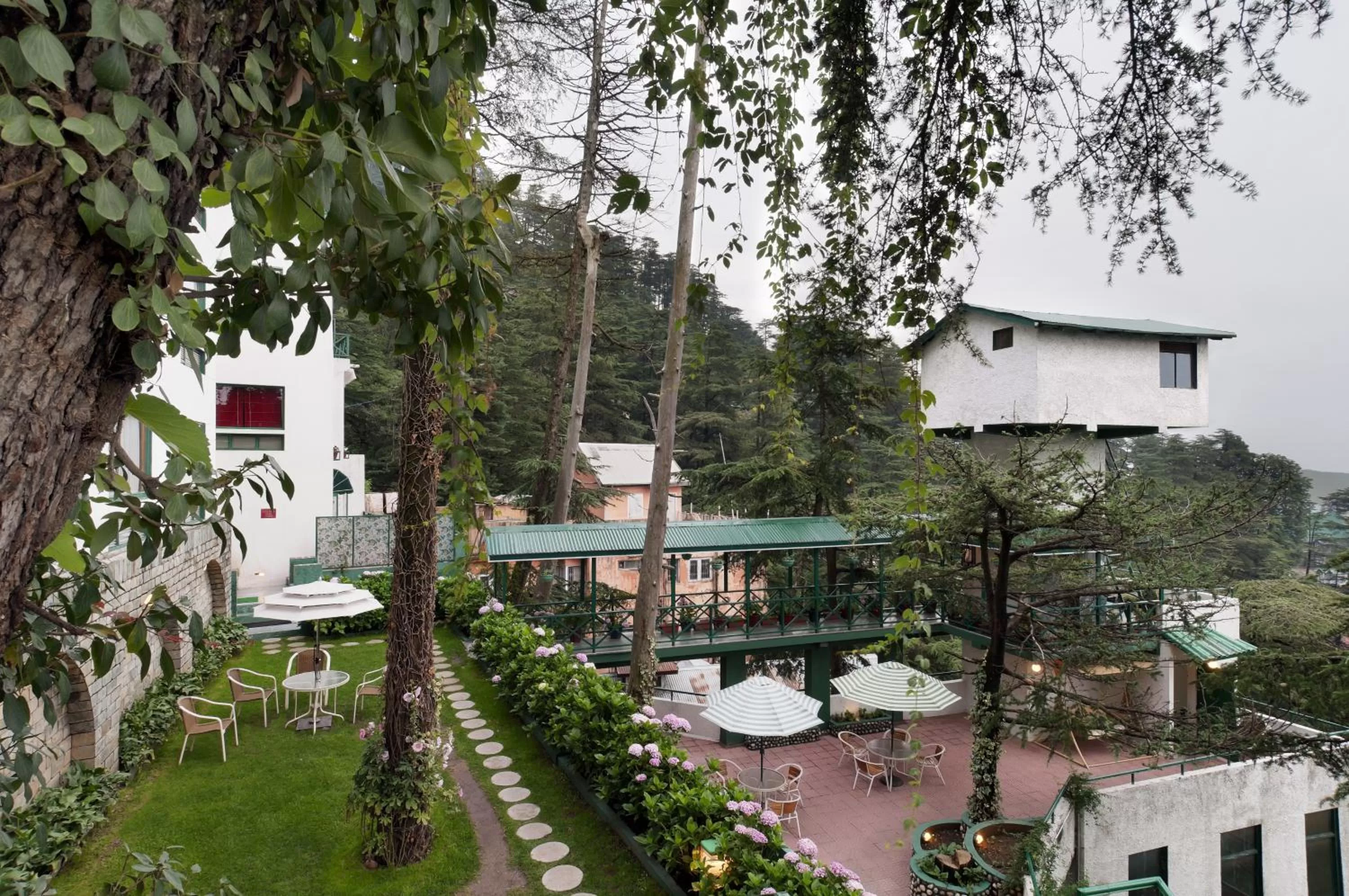 Garden in Honeymoon Inn Shimla