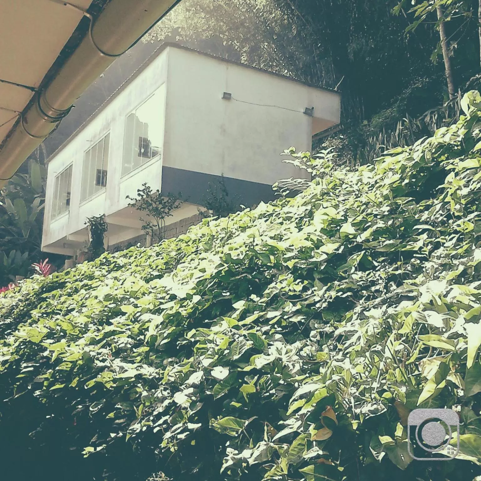 Natural landscape, Property Building in Pousada Piquara