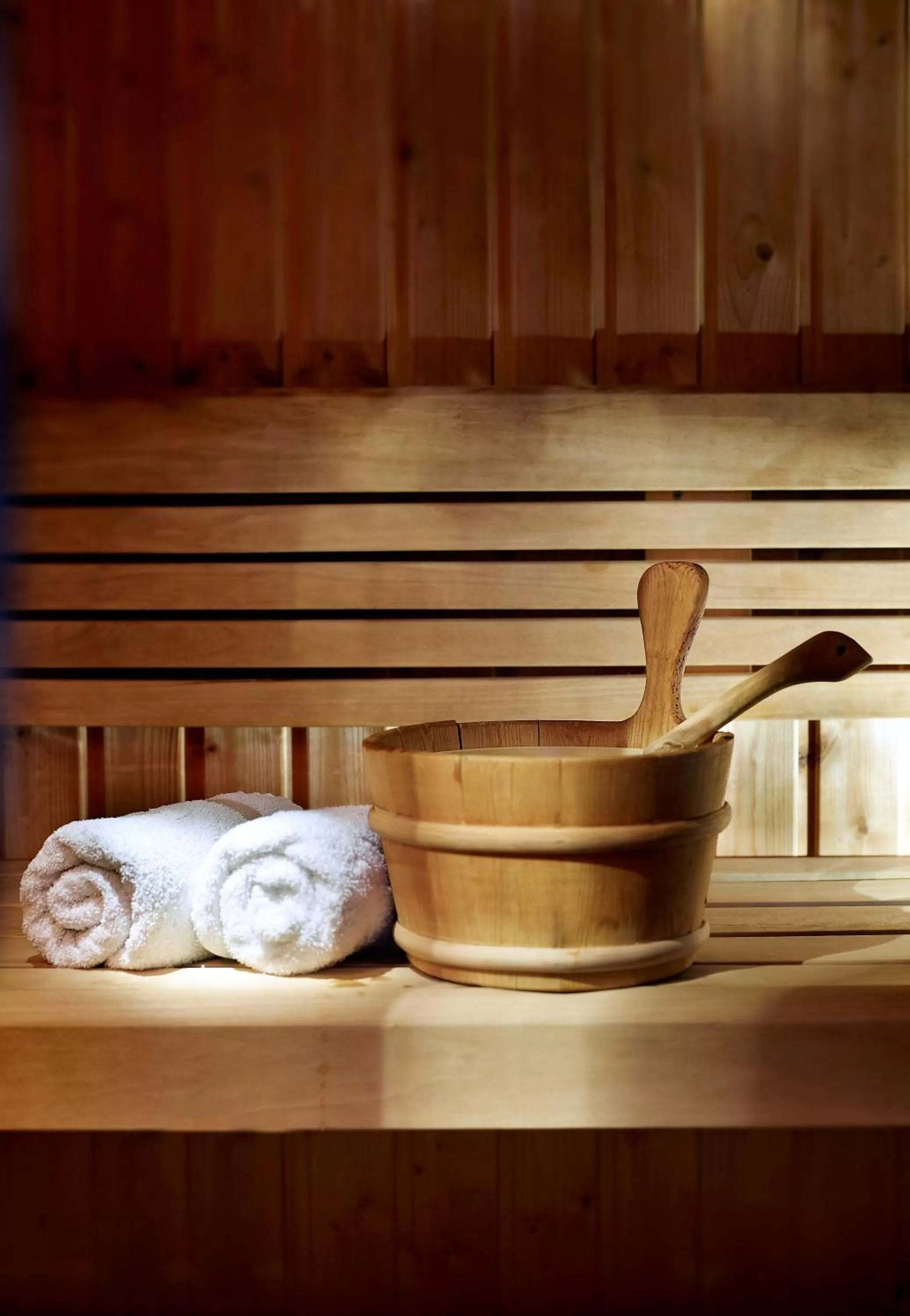 Sauna in Arion Hotel