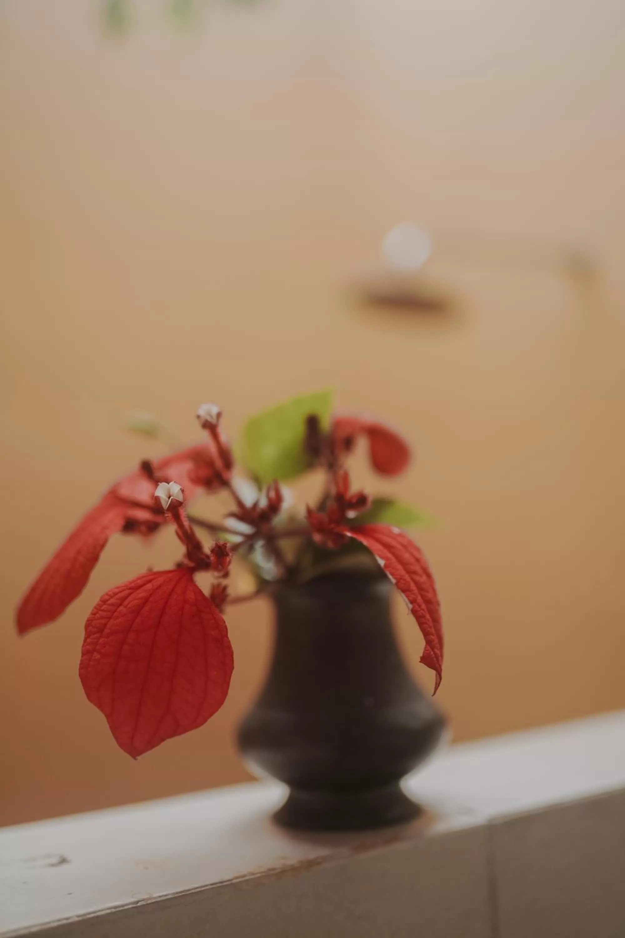 Bathroom in Villa Akasa