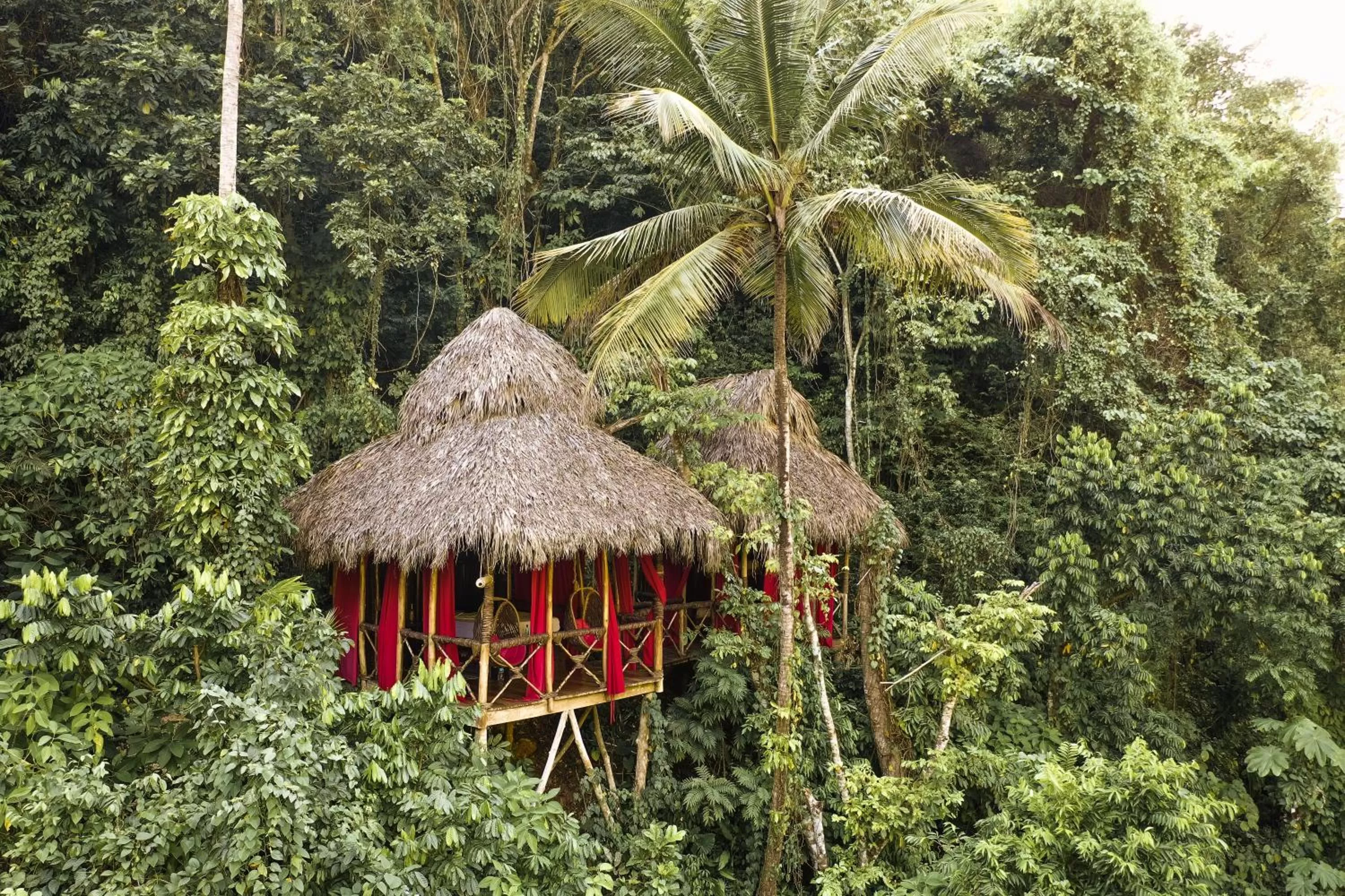Natural landscape in Dominican Tree House Village