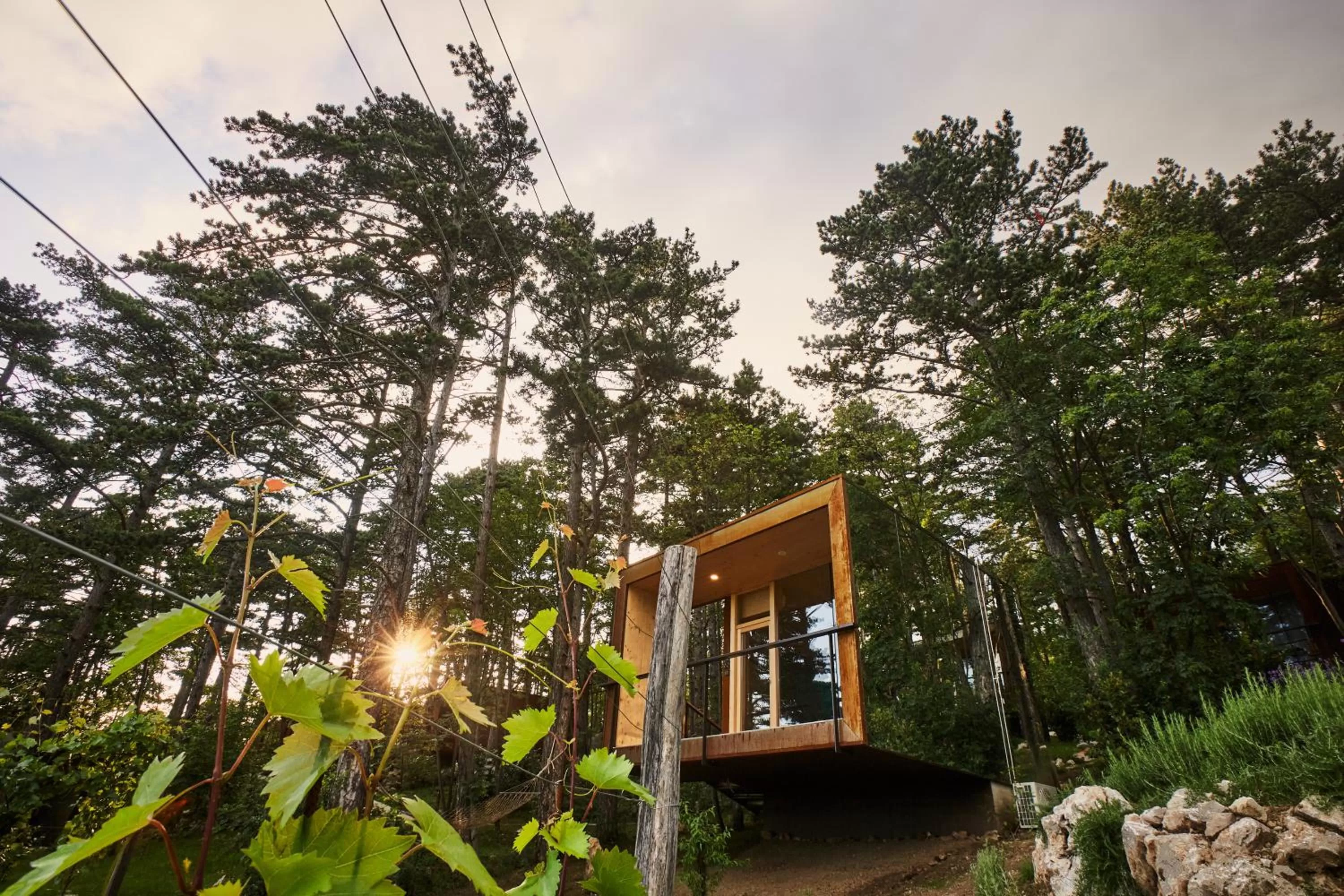 Property Building in Theodosius Forest Village - Glamping in Vipava valley