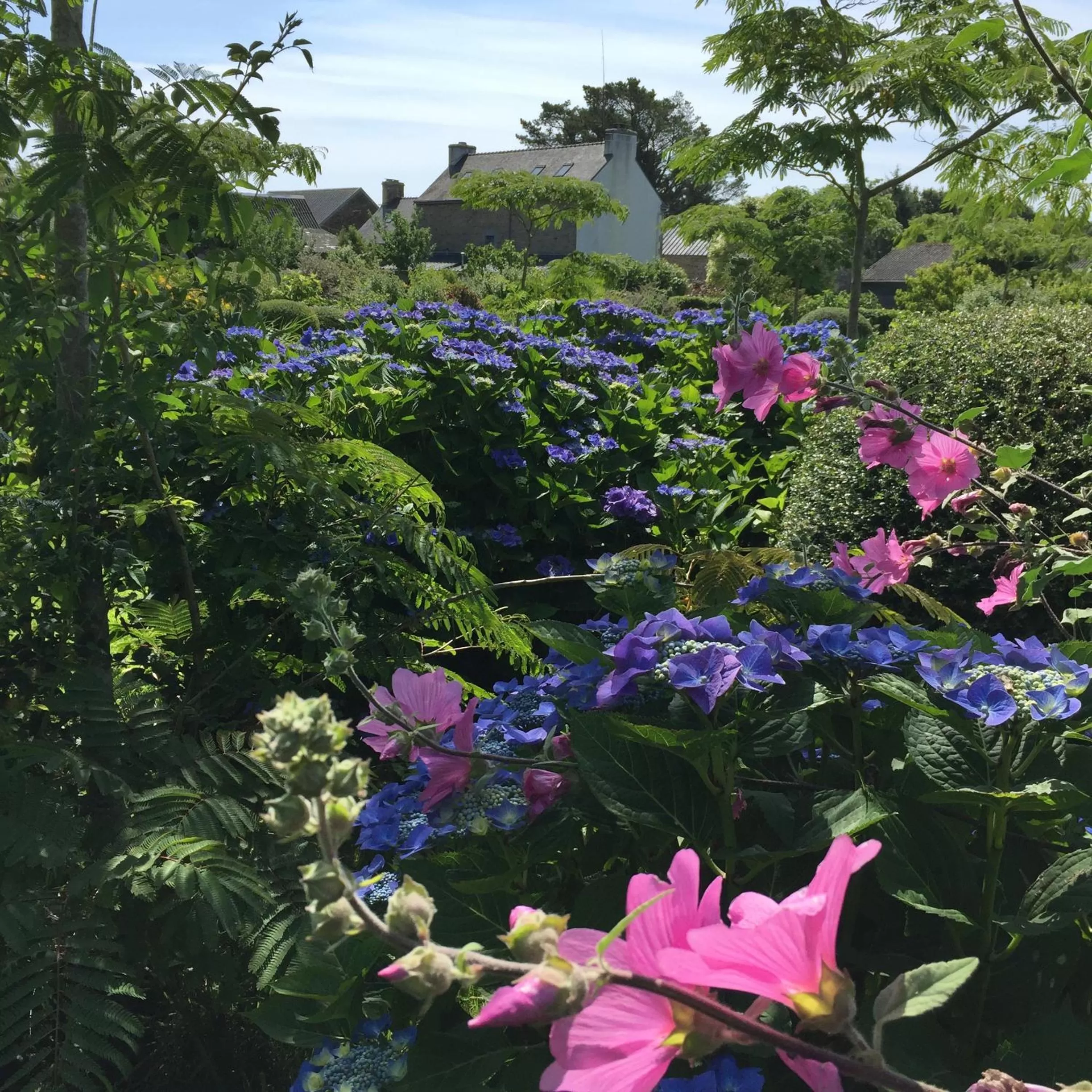 Garden in Les 3 Koïs