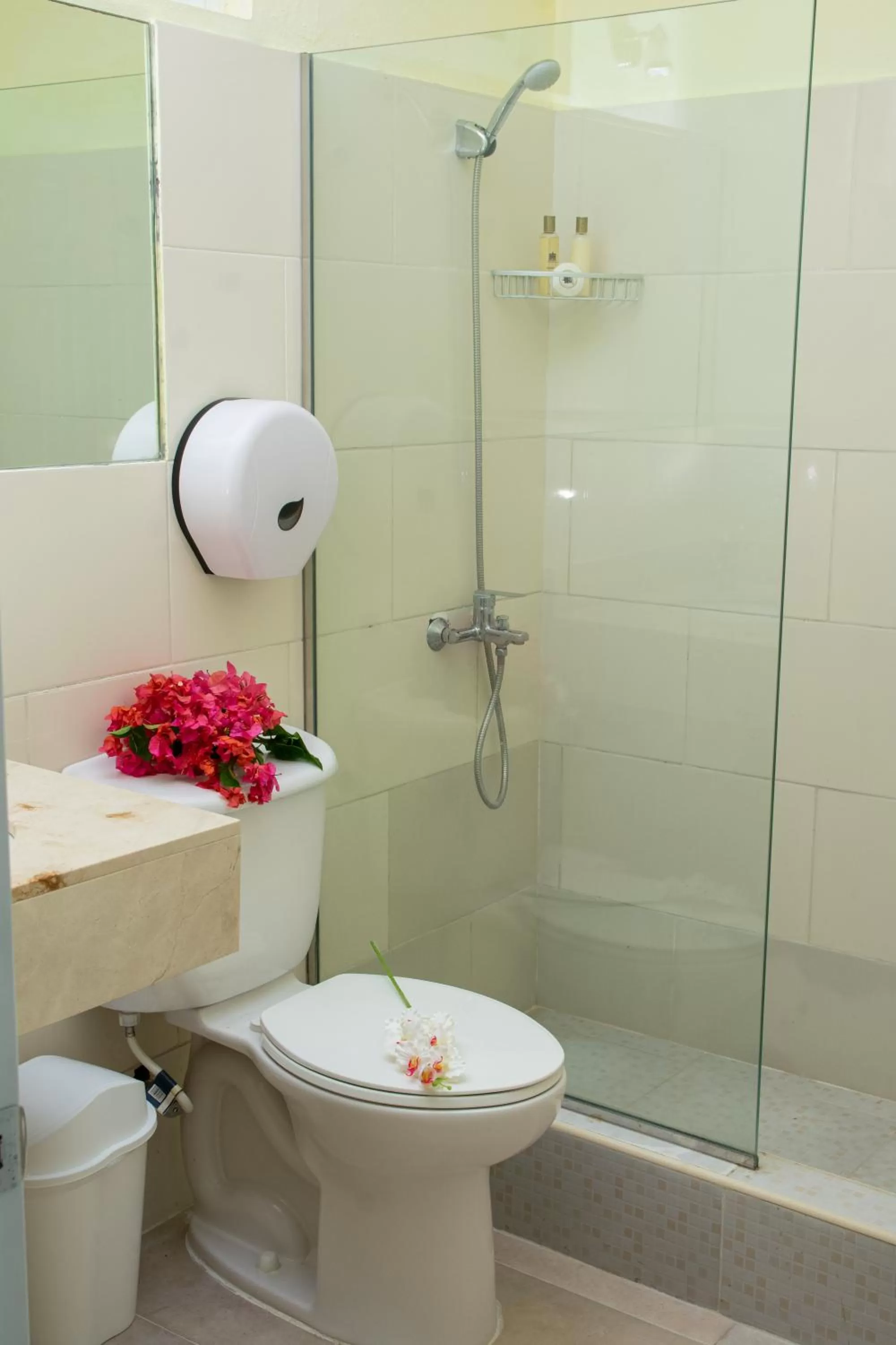 Toilet in Aparthotel Castillo Real