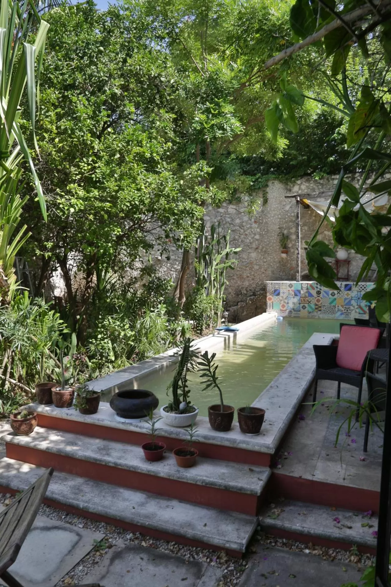 View (from property/room) in La Pantera Negra