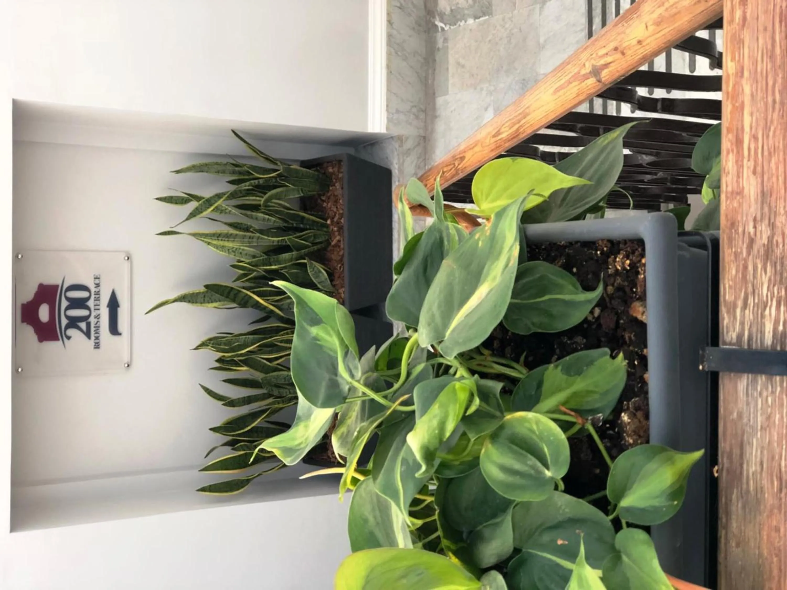 Lobby or reception in 200 ROOMS & TERRACE