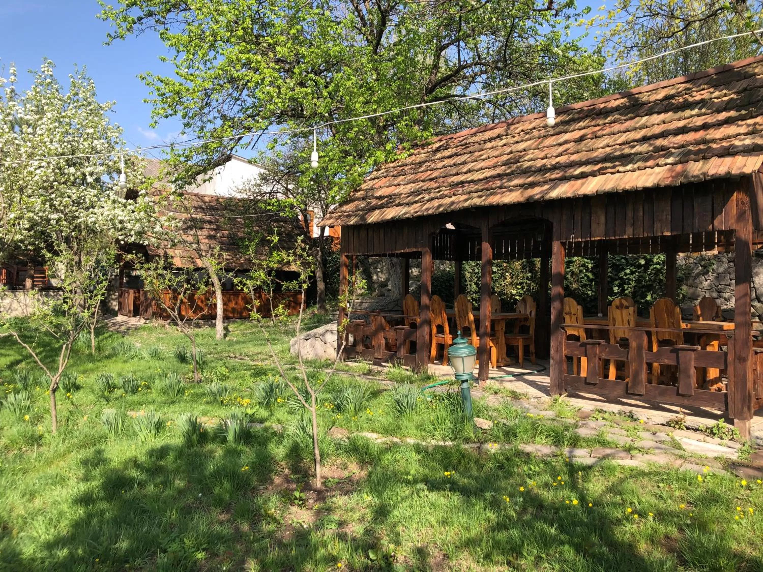 Garden, Property Building in Dil Hill by Sam