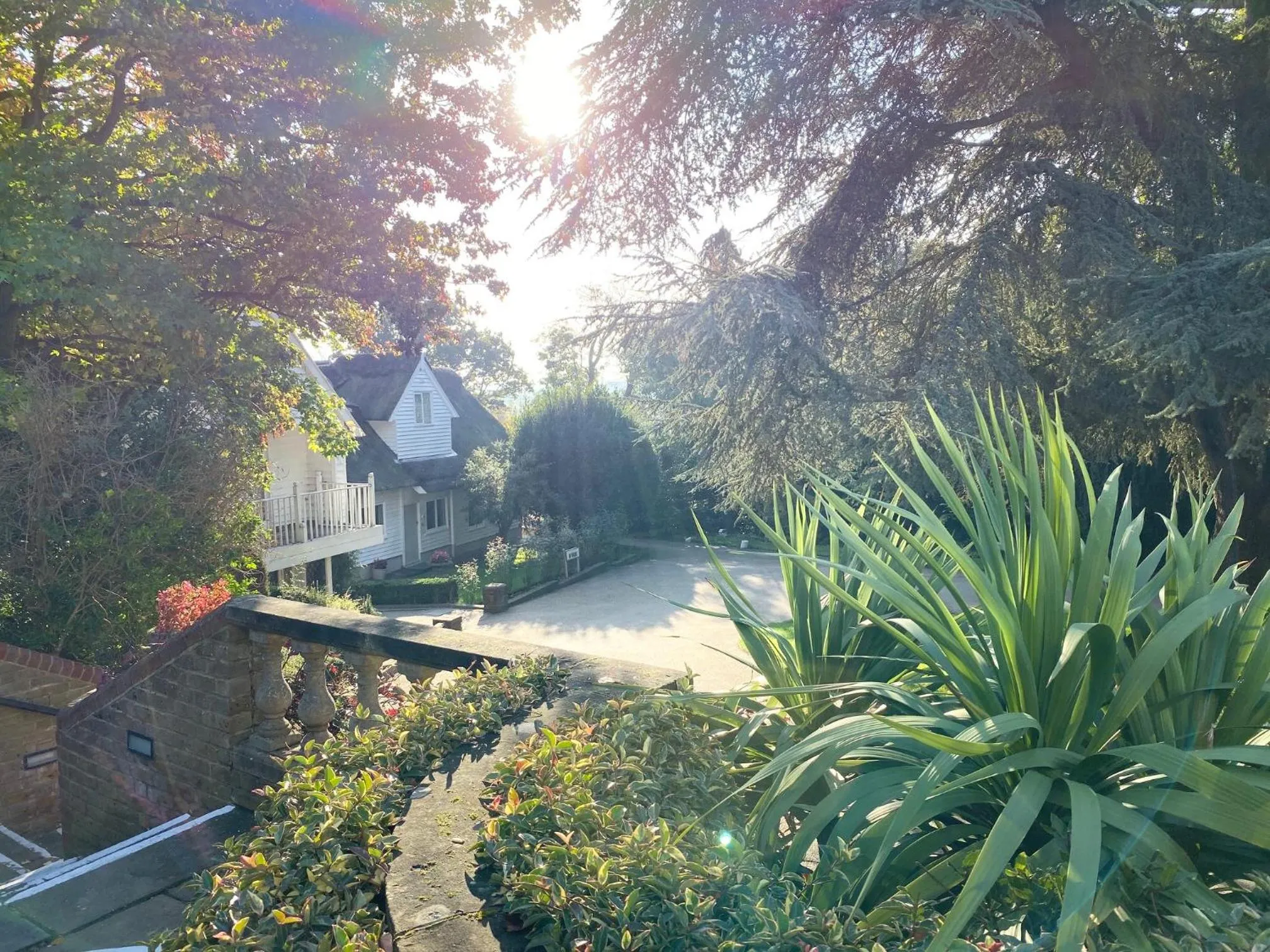 Natural landscape in Rowhill Grange Hotel & Utopia Spa