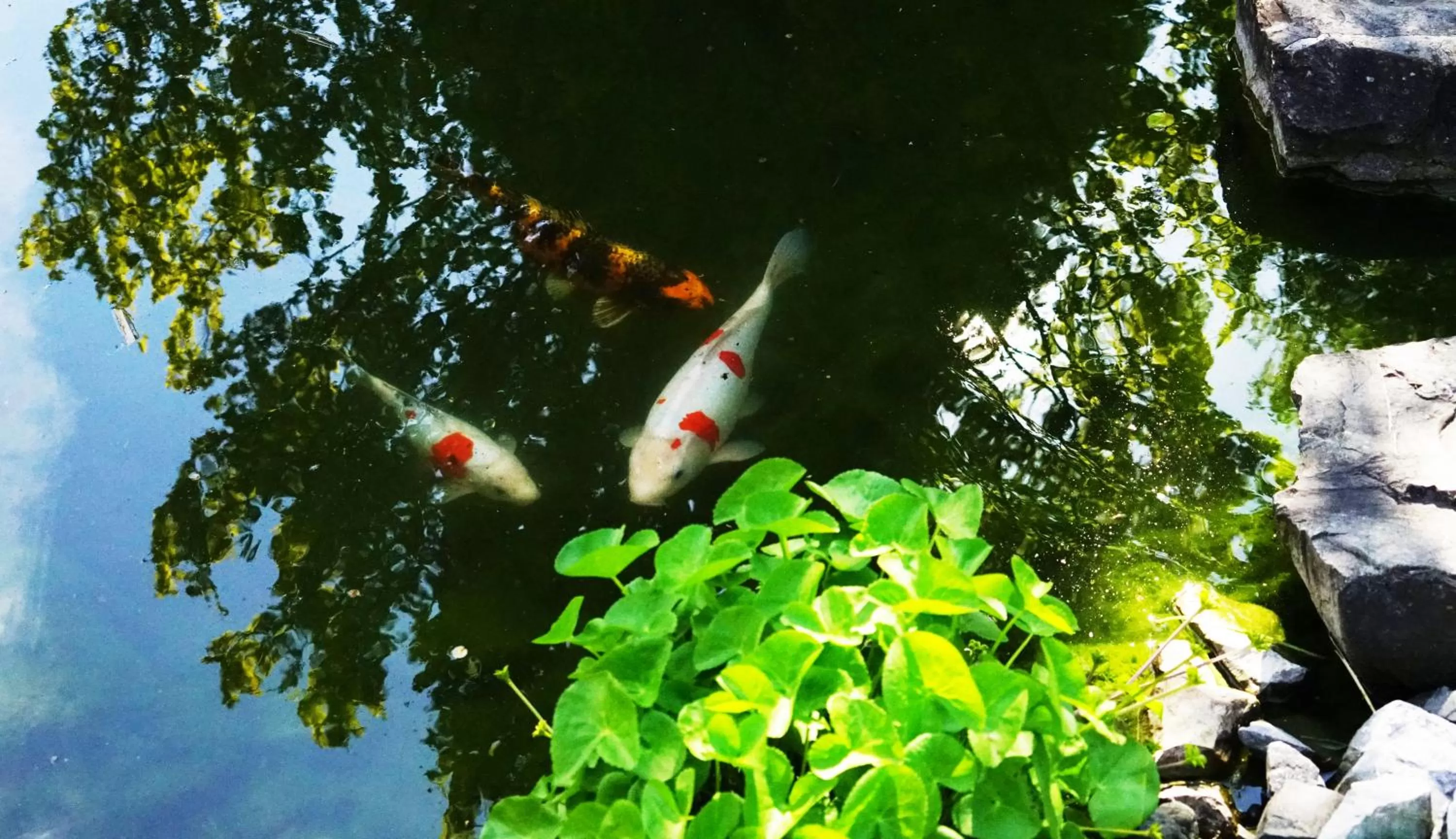 Other in Adventure Guesthouse Interlaken