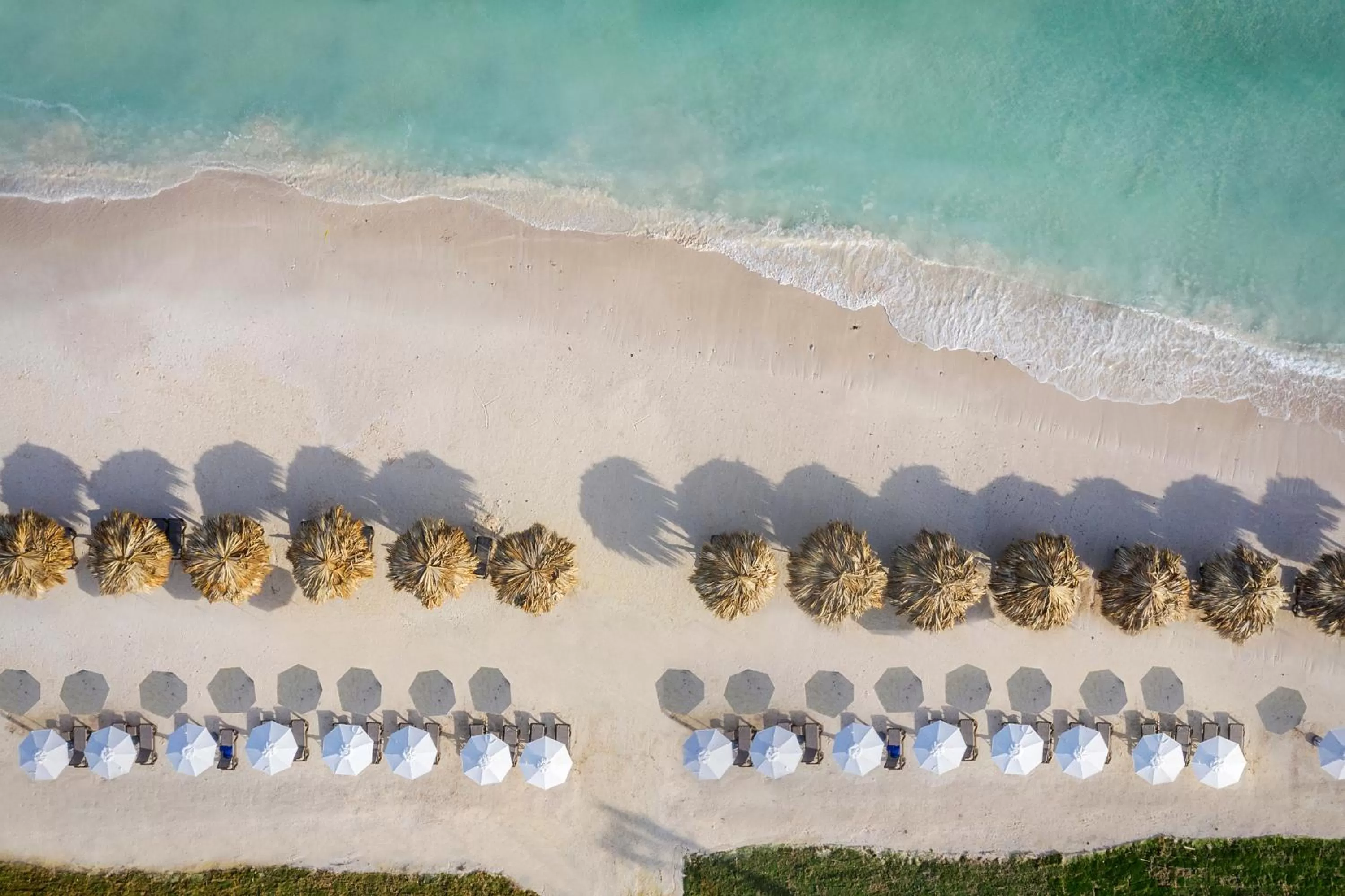 Activities in Ocean Coral Spring Resort - All Inclusive