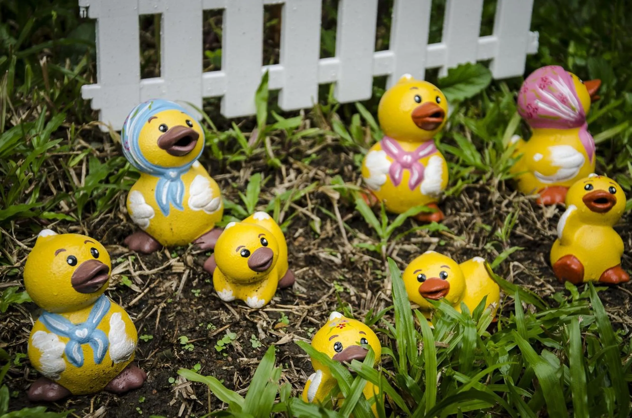 Natural landscape in The Sylvana Pai