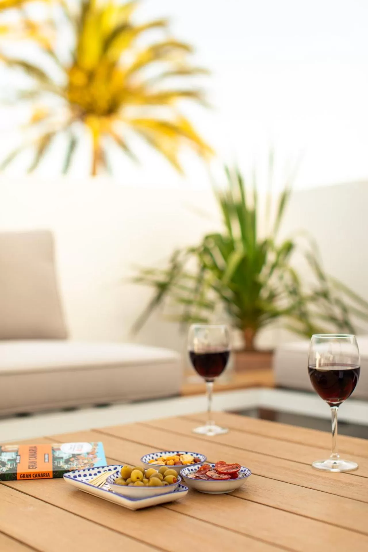 Patio in Villa Nestor