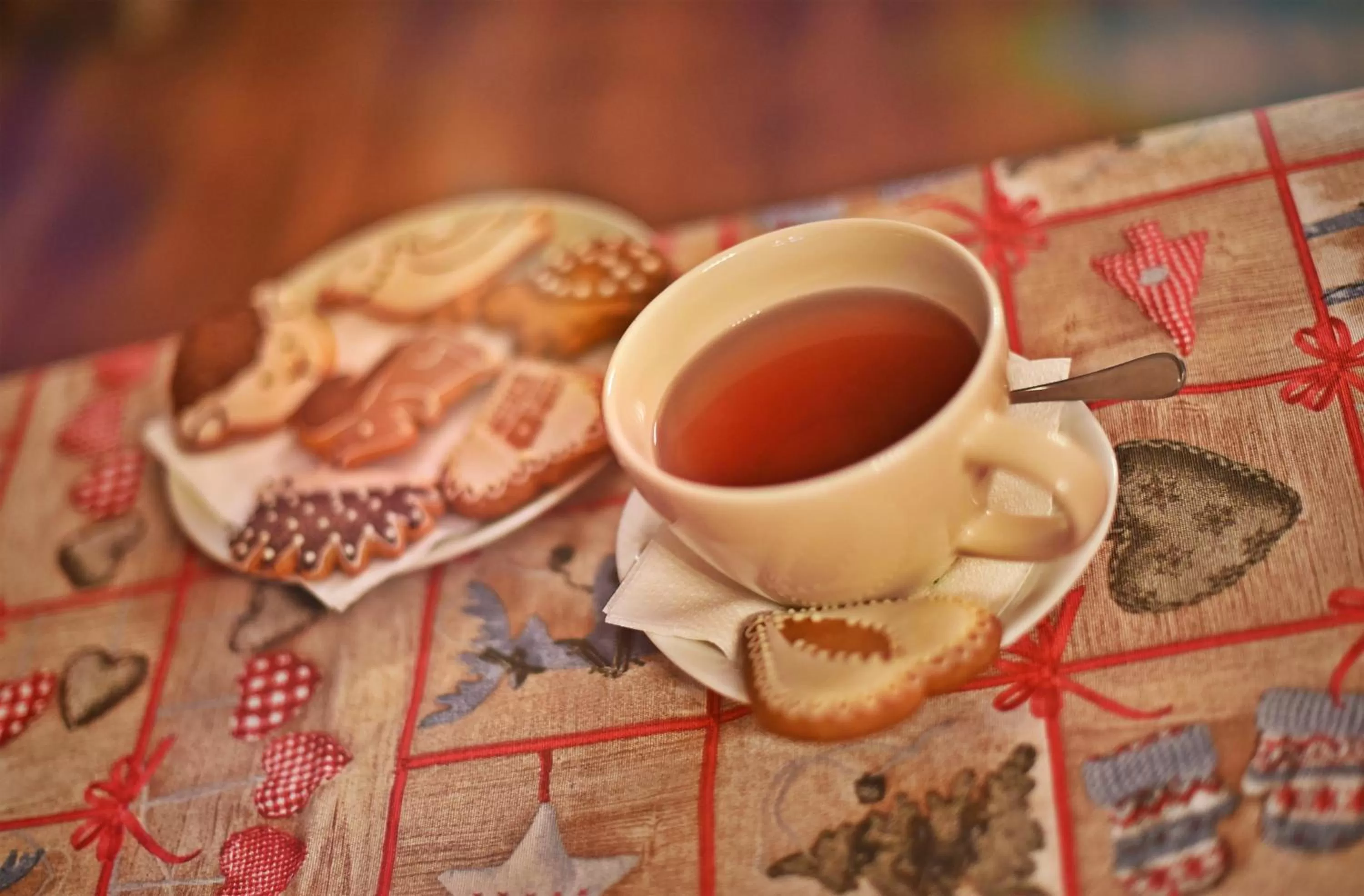 Meals in Horizont Panzio