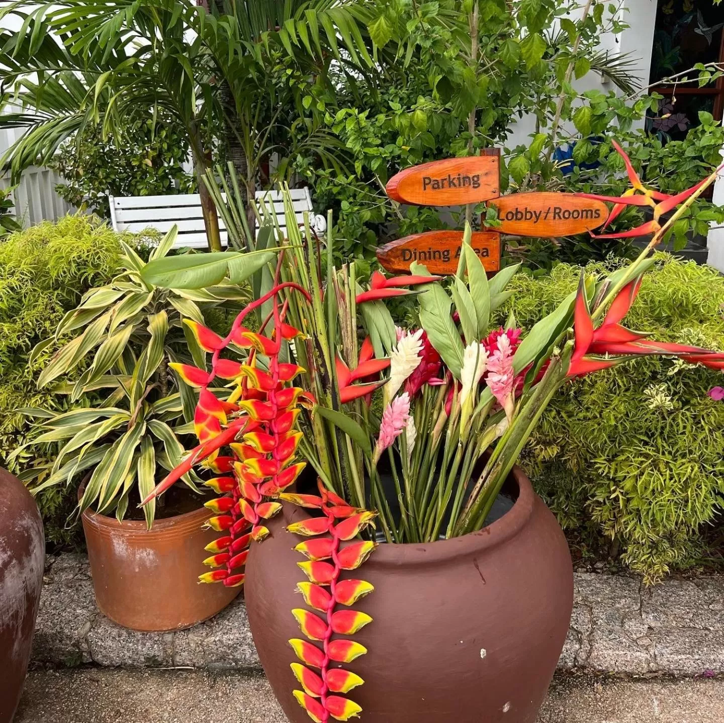 Garden in Hilltop Boutique Hotel