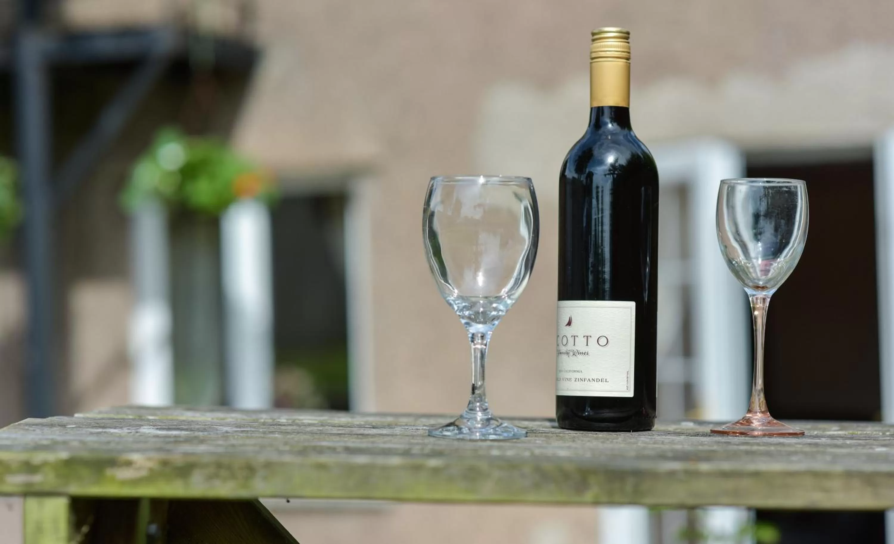 Garden in Edenhall Country Hotel