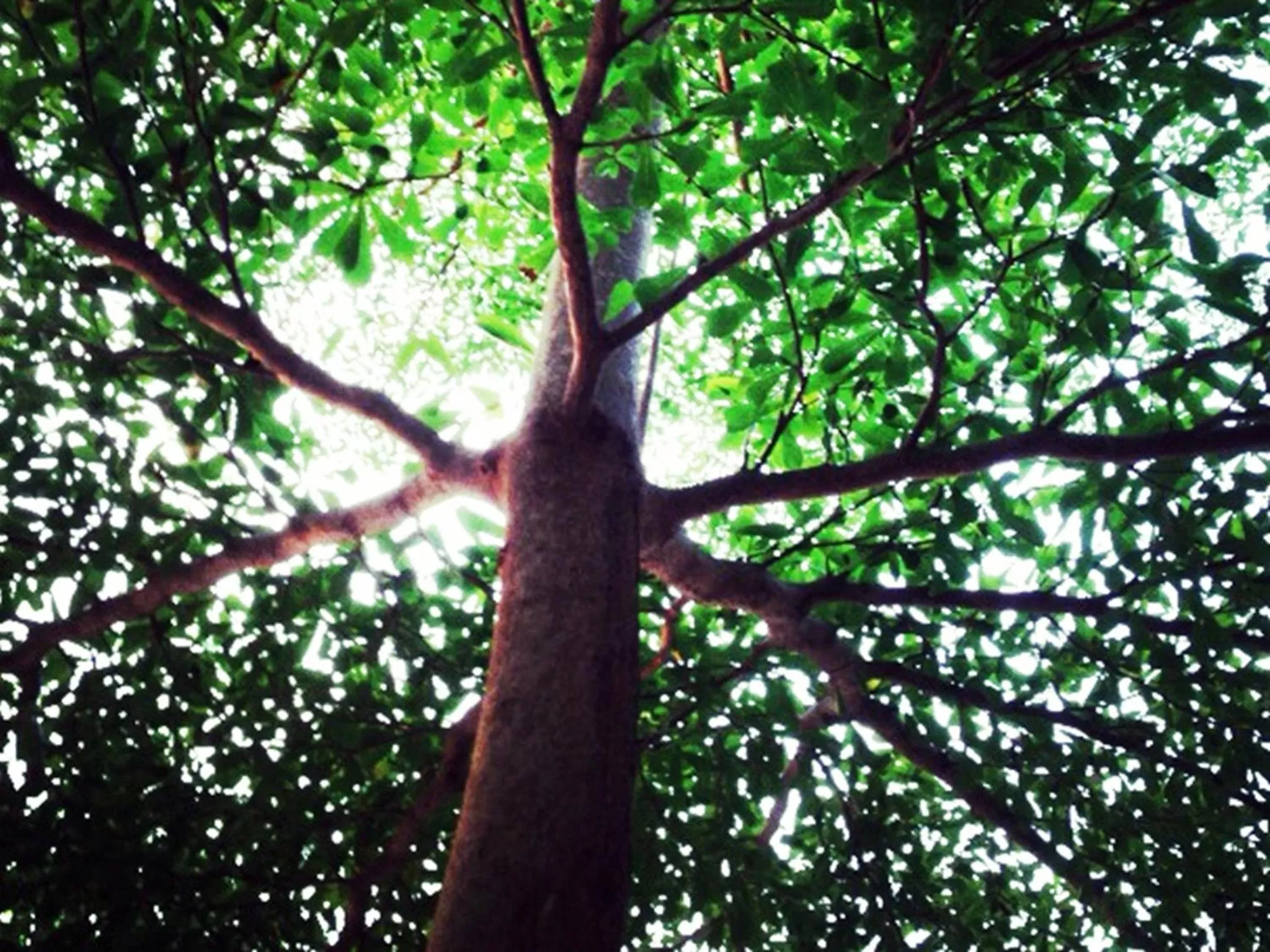 Day in Baan Siriporn Resort - โรงแรมบ้านศิริพร รีสอร์ท